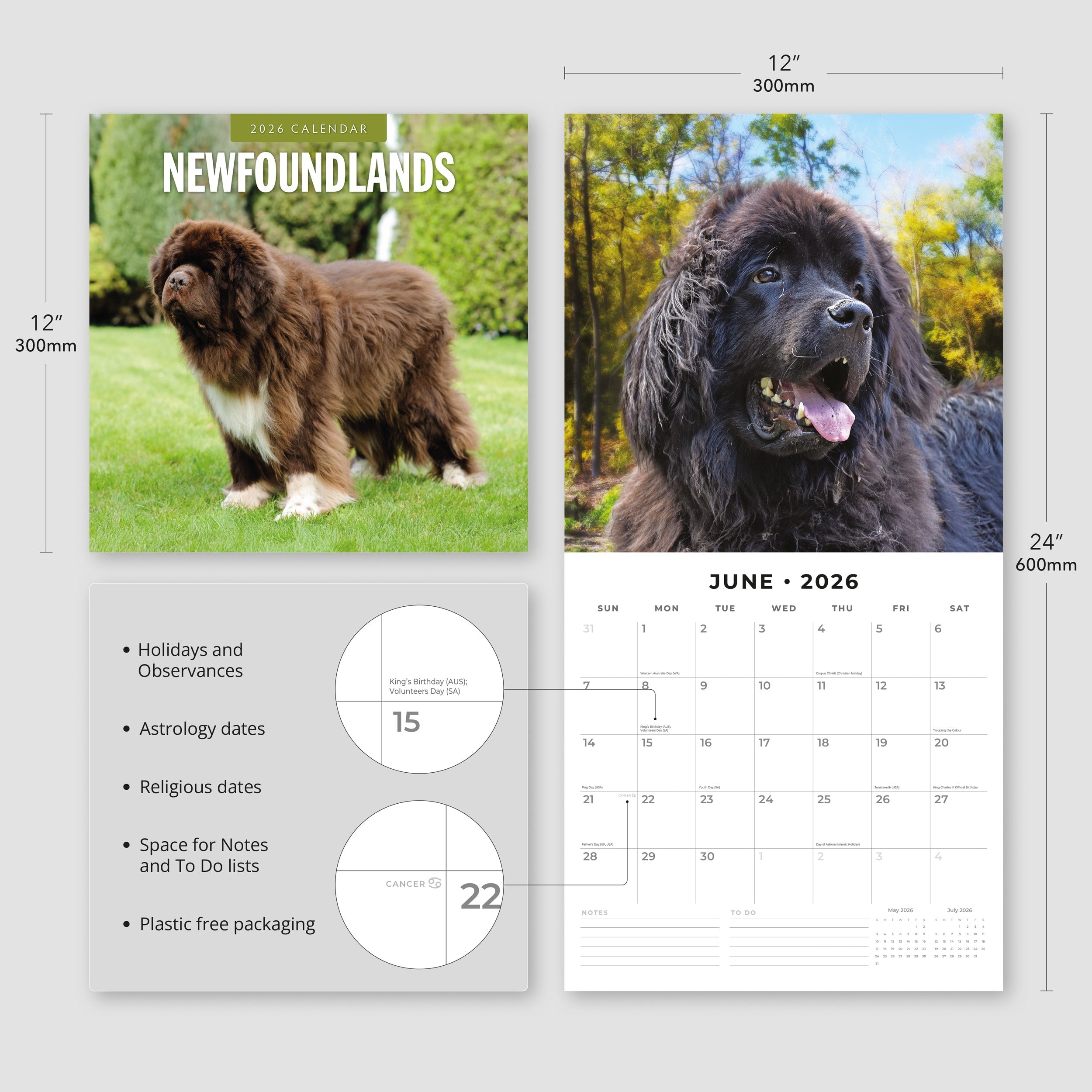 2026 Newfoundlands - Square Wall Calendar