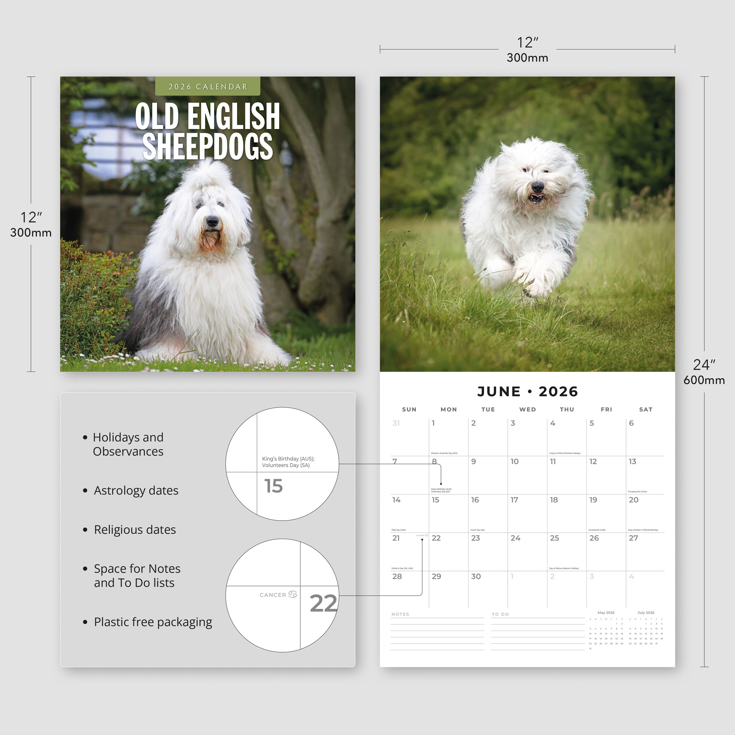 2026 Old English Sheepdogs - Square Wall Calendar