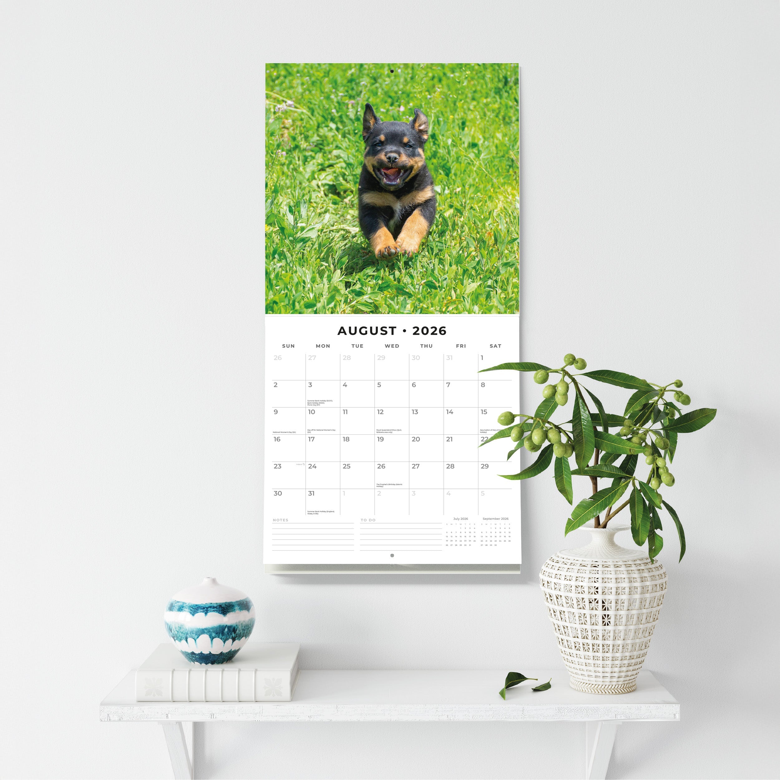 2026 Rottweiler Puppies - Square Wall Calendar