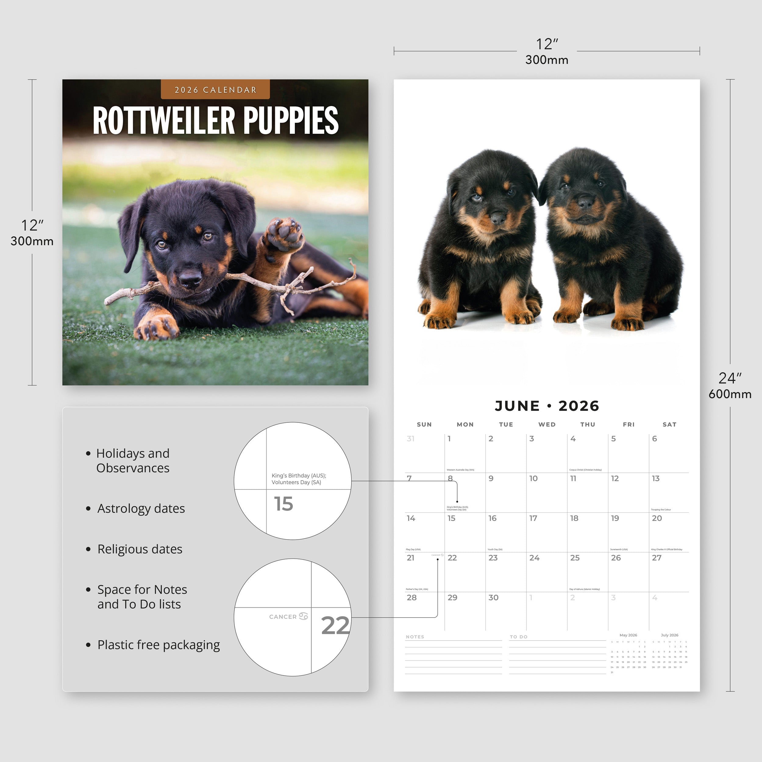 2026 Rottweiler Puppies - Square Wall Calendar