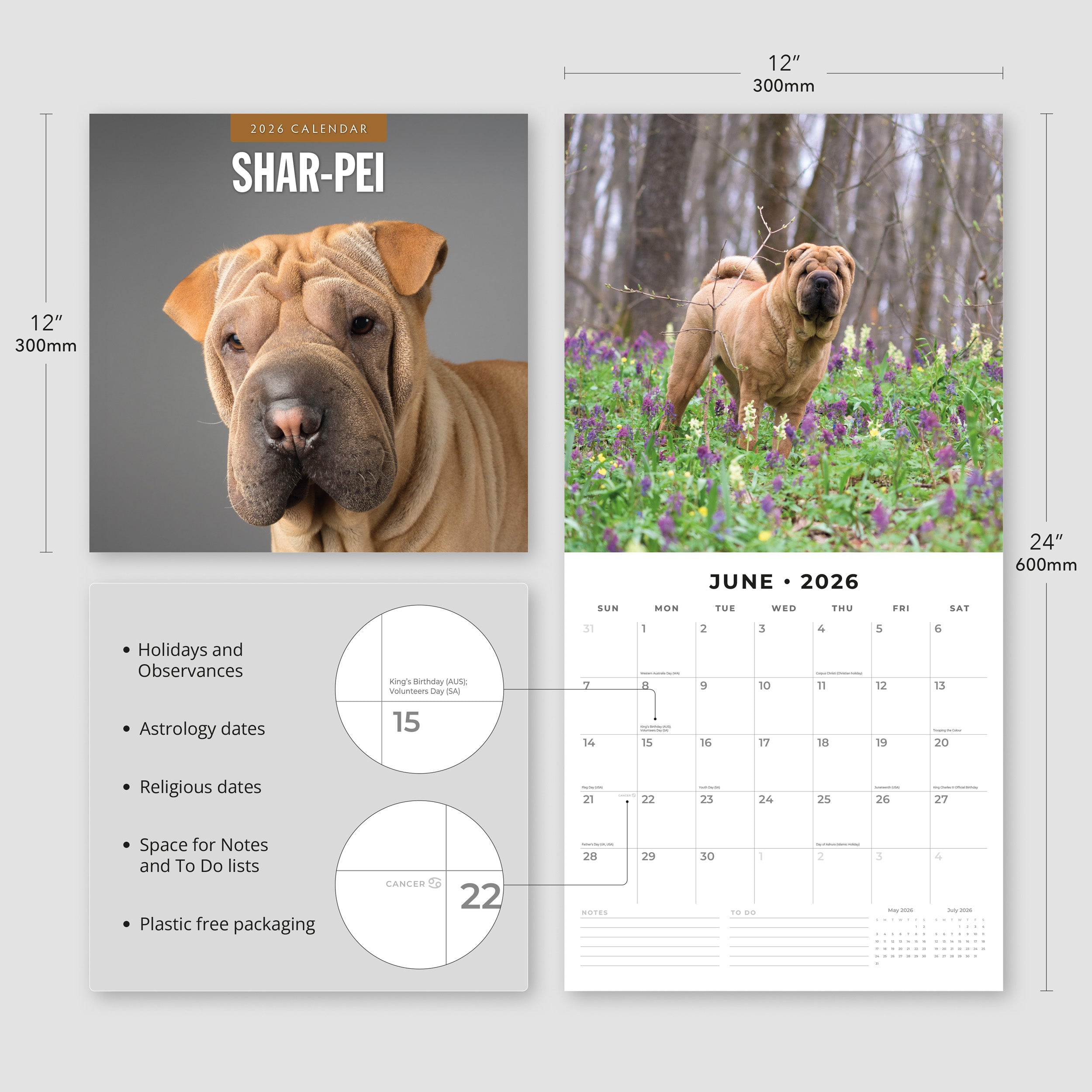 2026 Shar-Pei - Square Wall Calendar