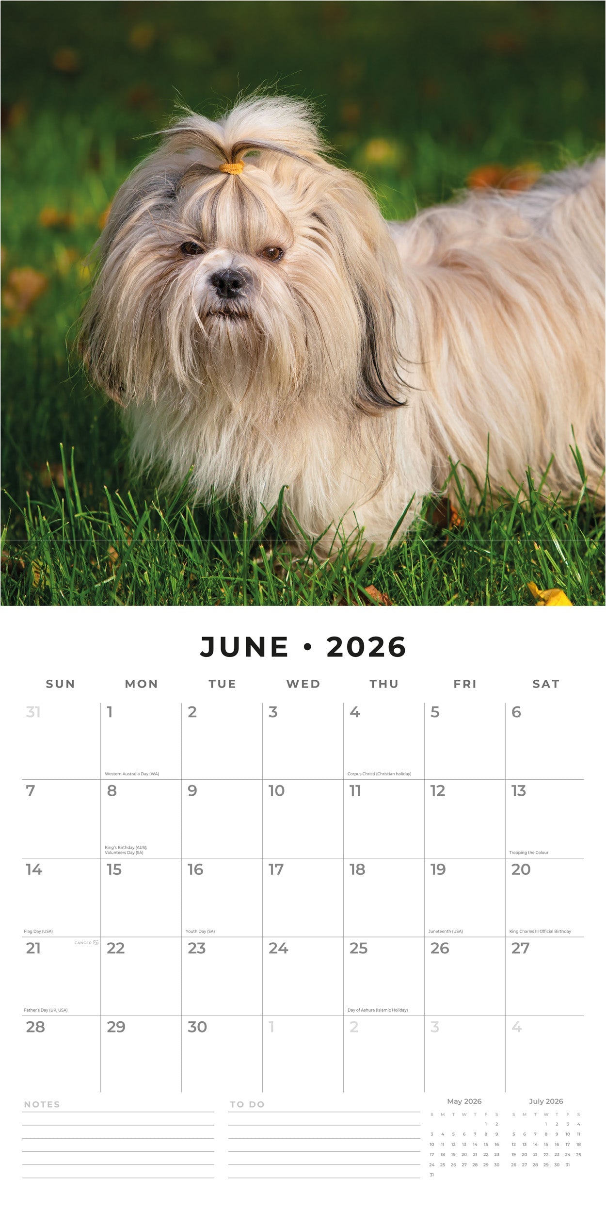2026 Shih Tzu - Square Wall Calendar