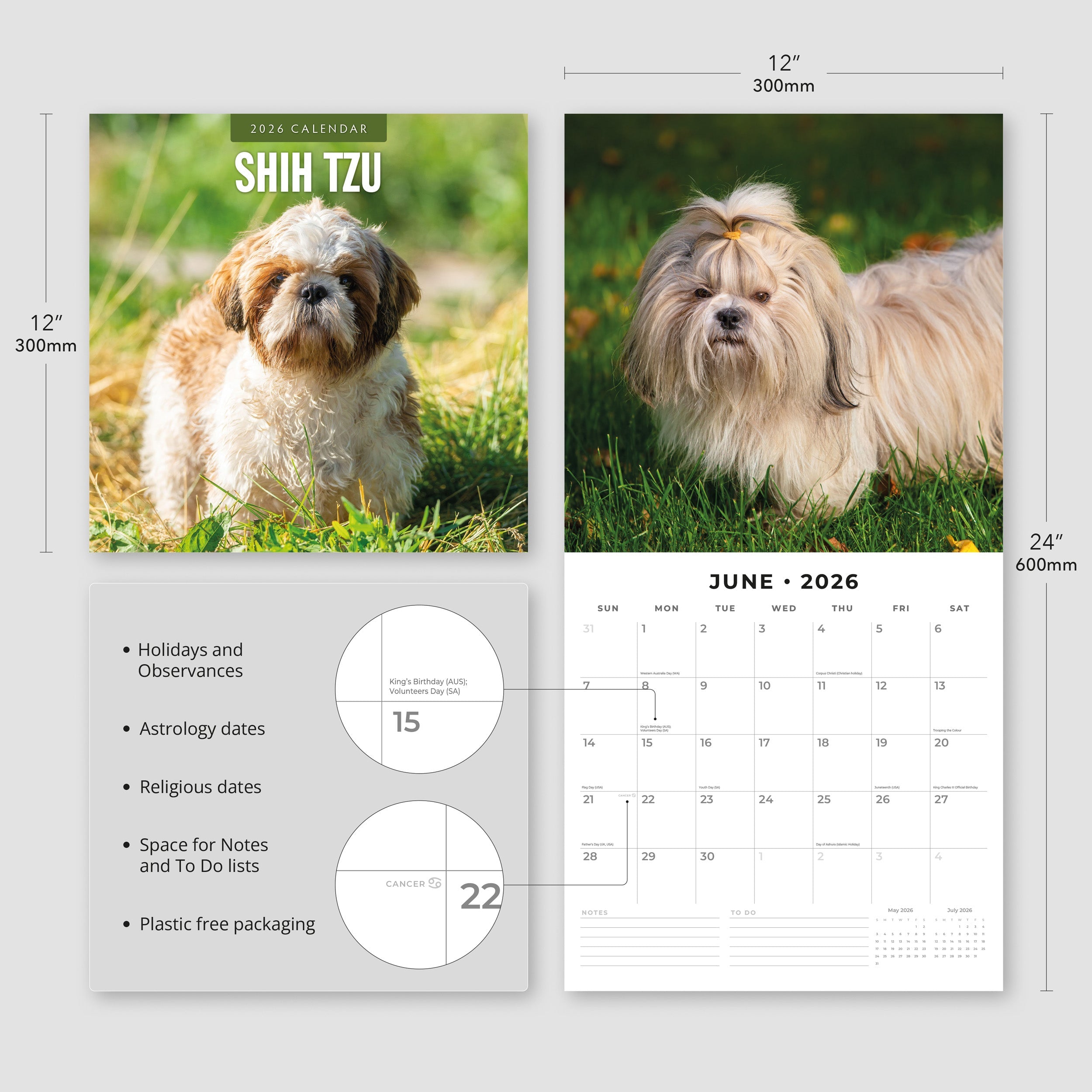 2026 Shih Tzu - Square Wall Calendar
