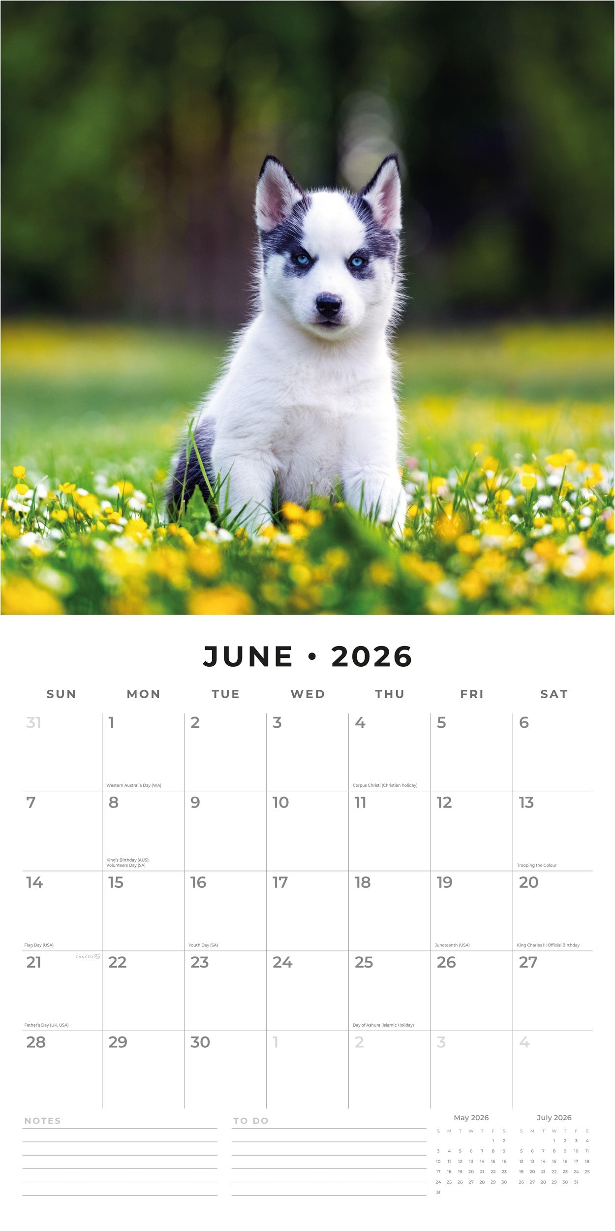 2026 Siberian Huskies - Square Wall Calendar