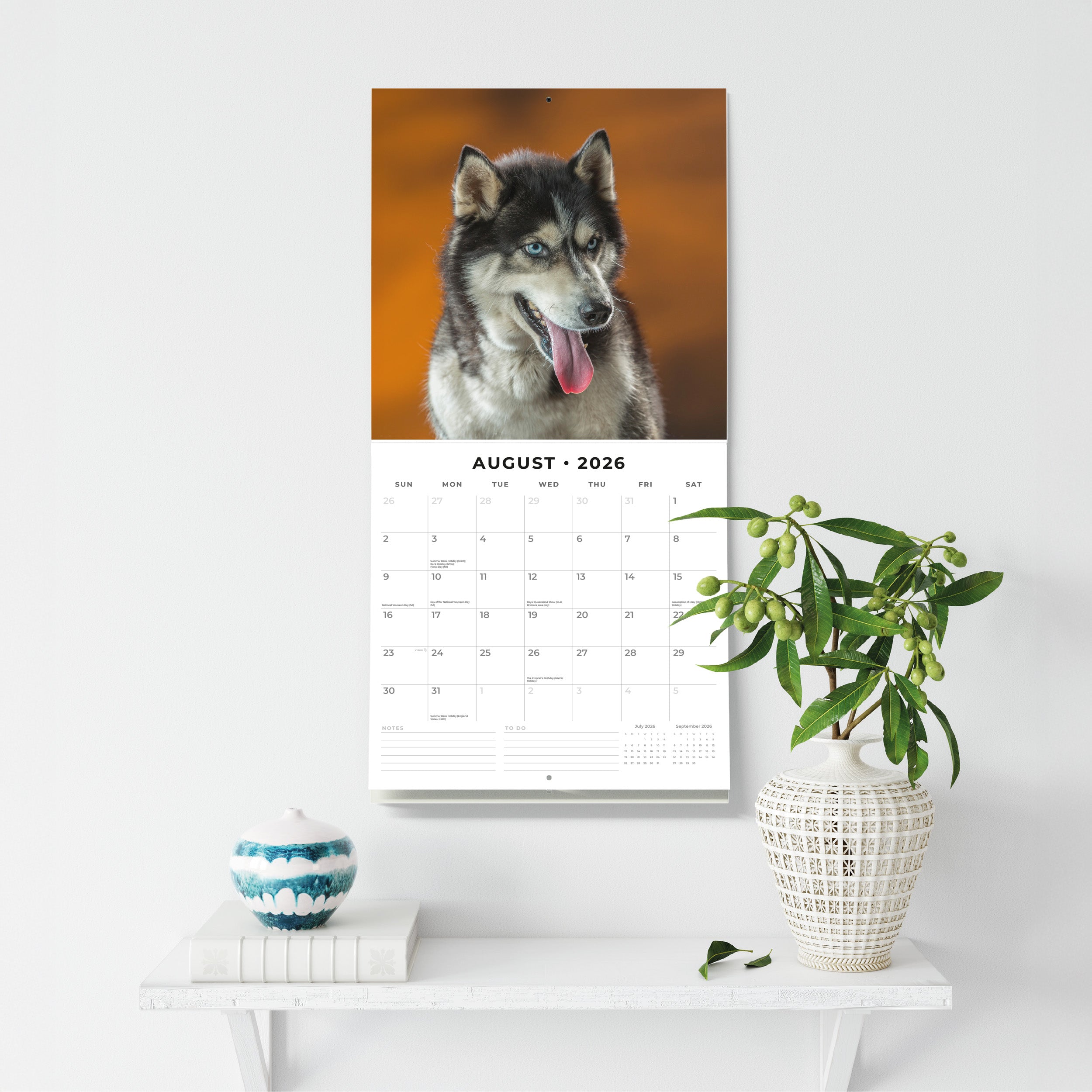 2026 Siberian Huskies - Square Wall Calendar