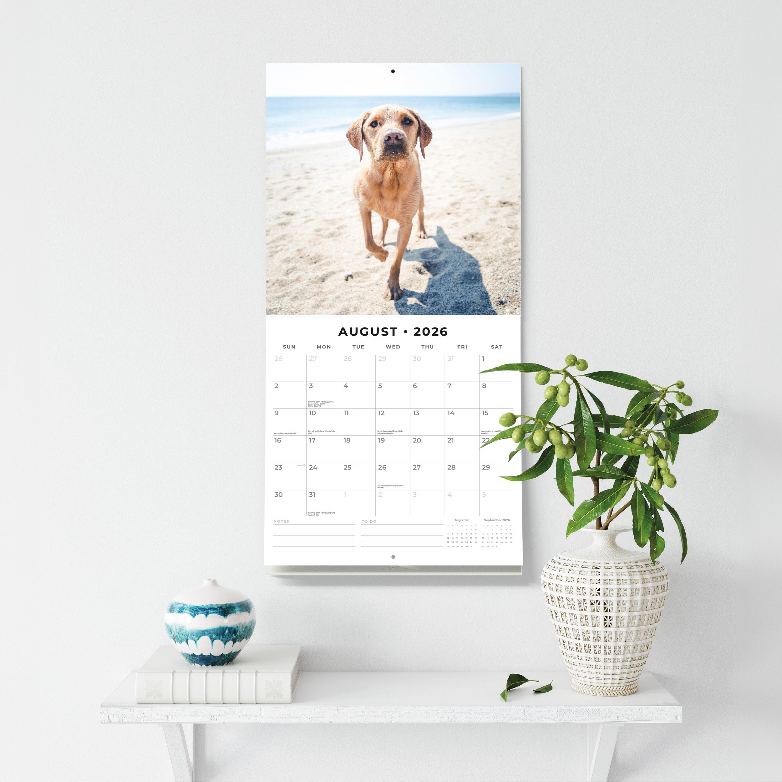 2026 Yellow Labrador - Square Wall Calendar