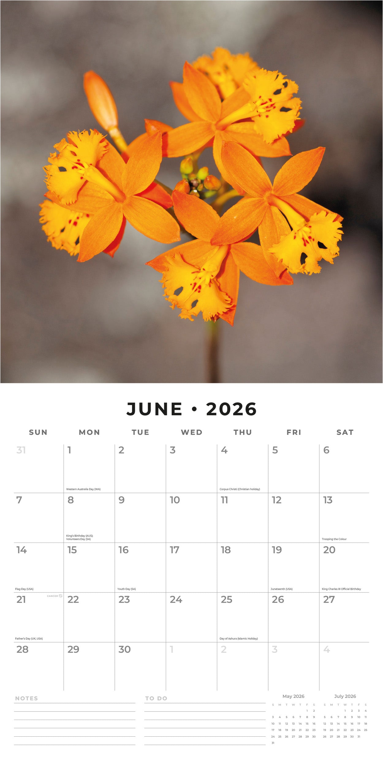 2026 Orchids - Square Wall Calendar