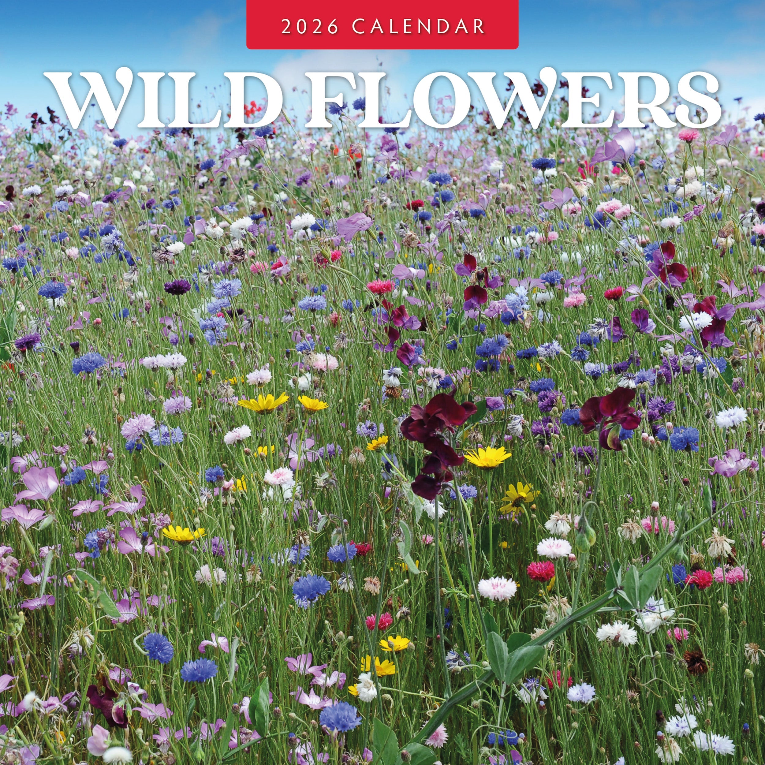 2026 Wild Flowers - Square Wall Calendar