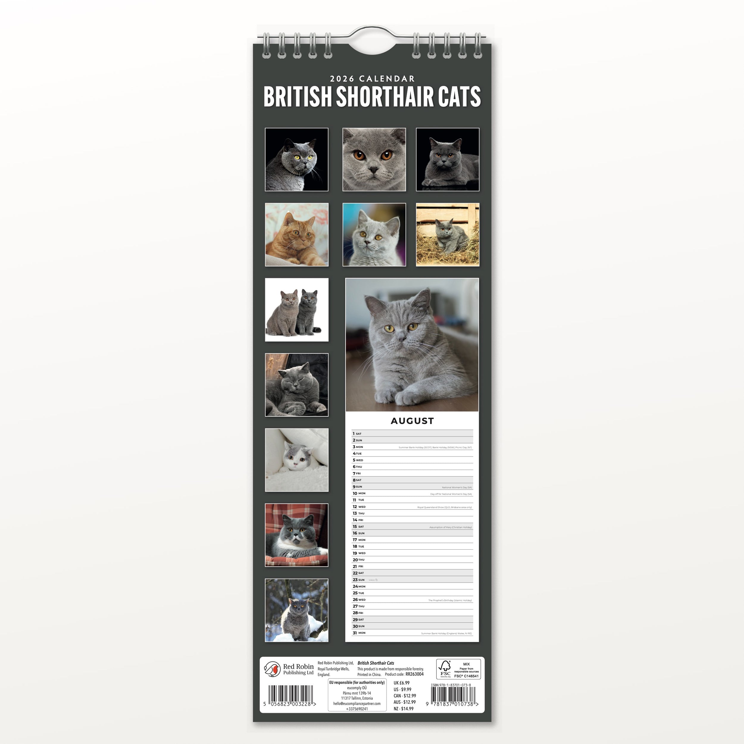 2026 British Shorthair Cats - Slim Wall Calendar