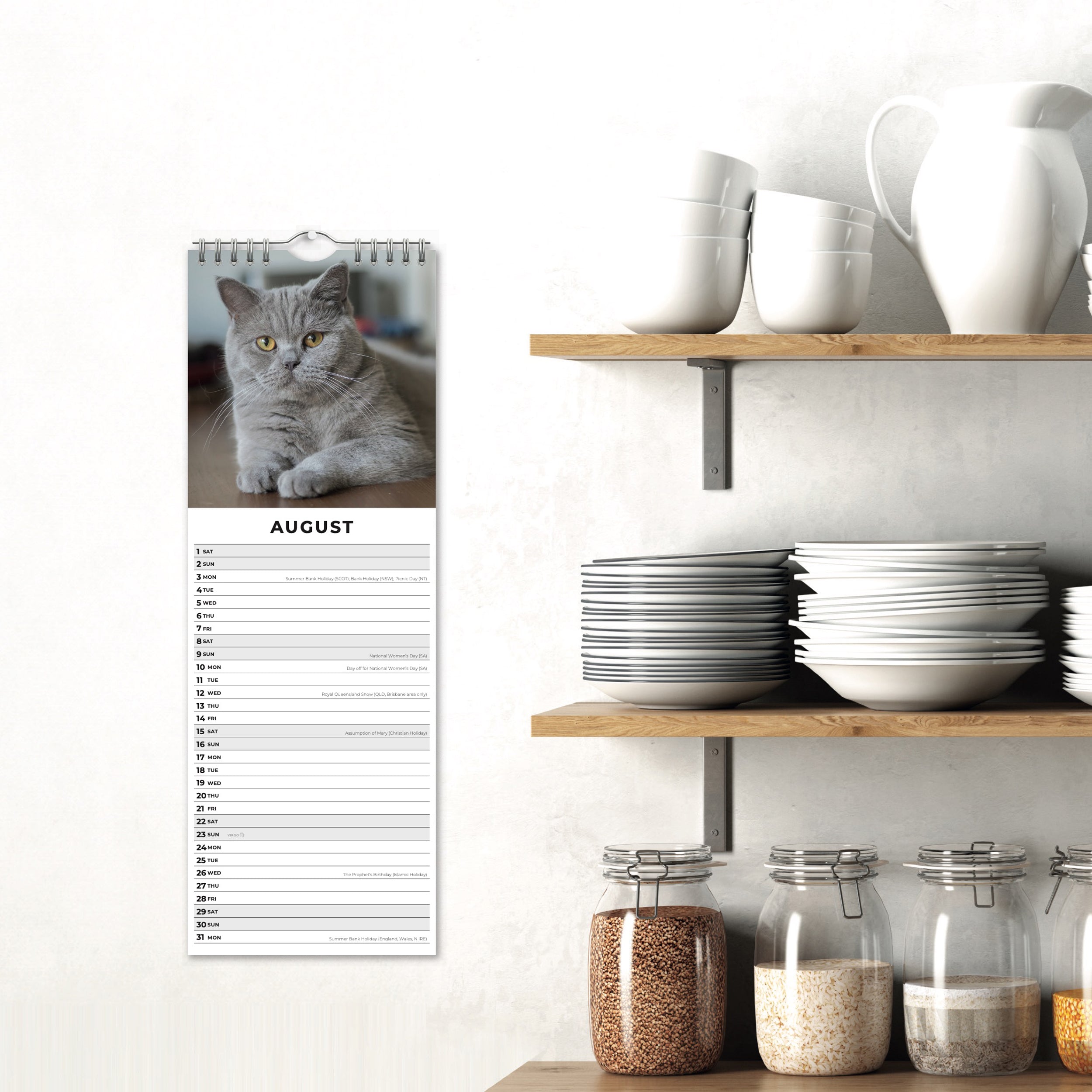 2026 British Shorthair Cats - Slim Wall Calendar
