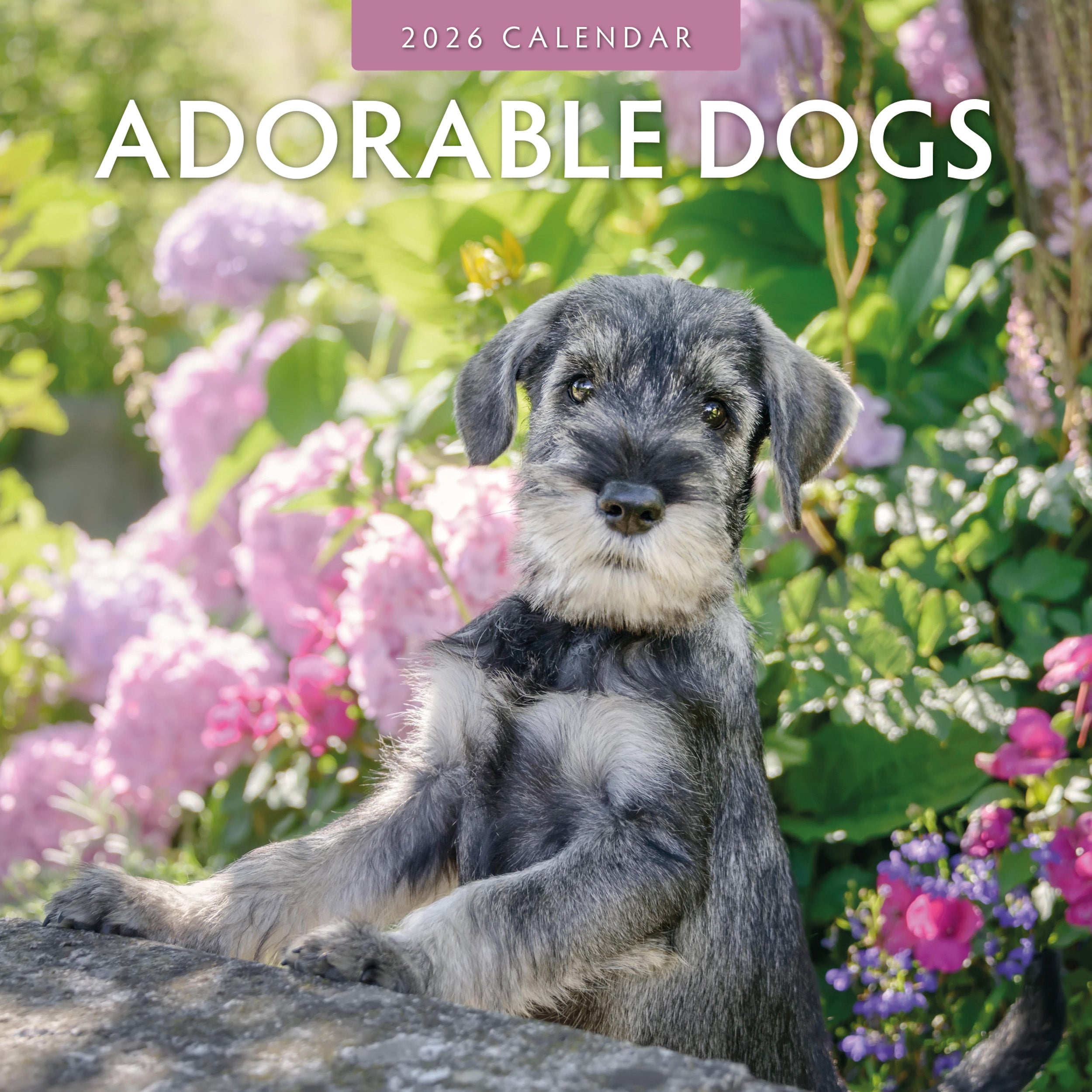 2026 Adorable Dogs - Square Wall Calendar