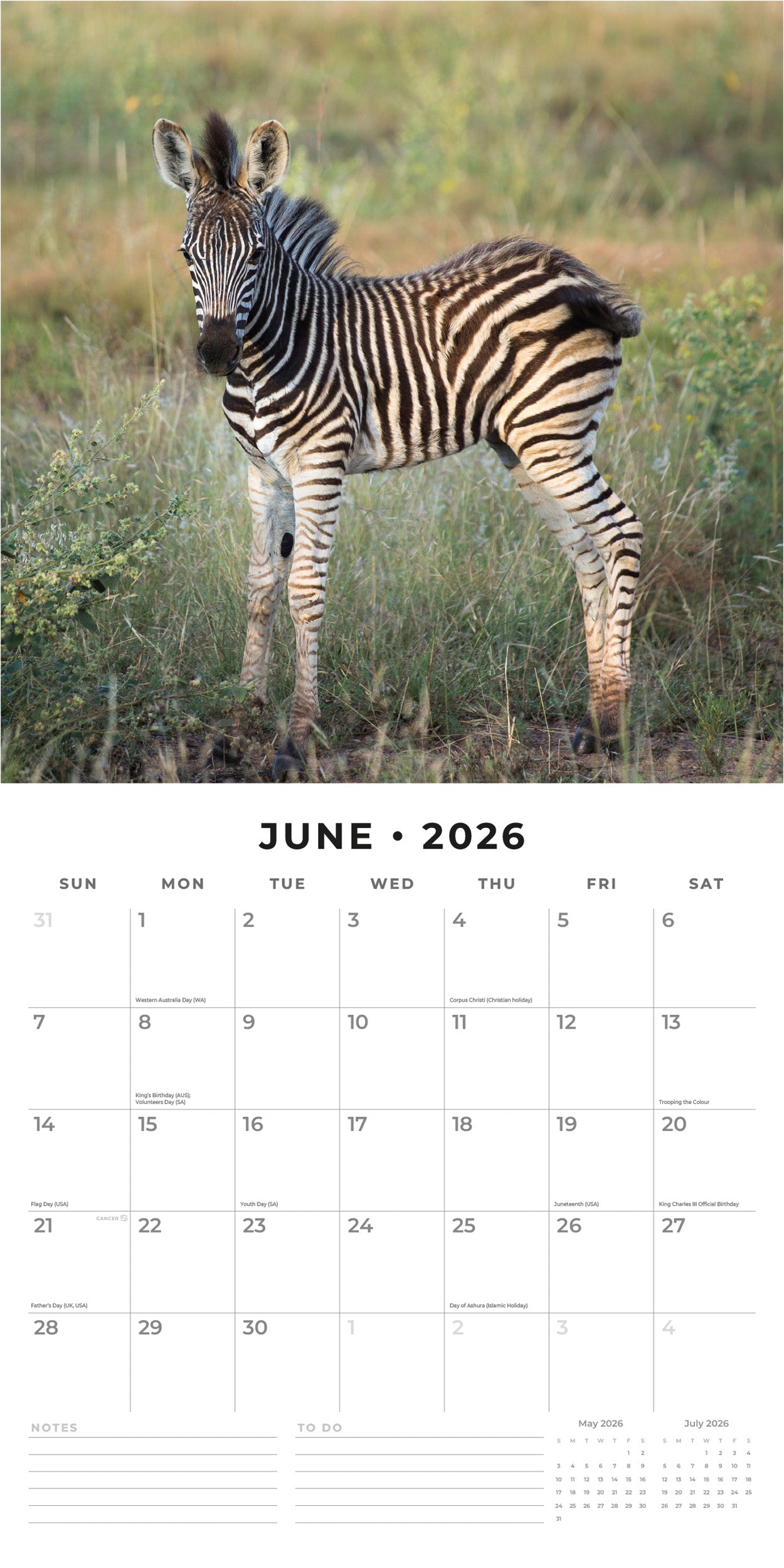 2026 Baby Animals Square Wall Calendar 2 2b11a0e7 6425 4b3d 9679 