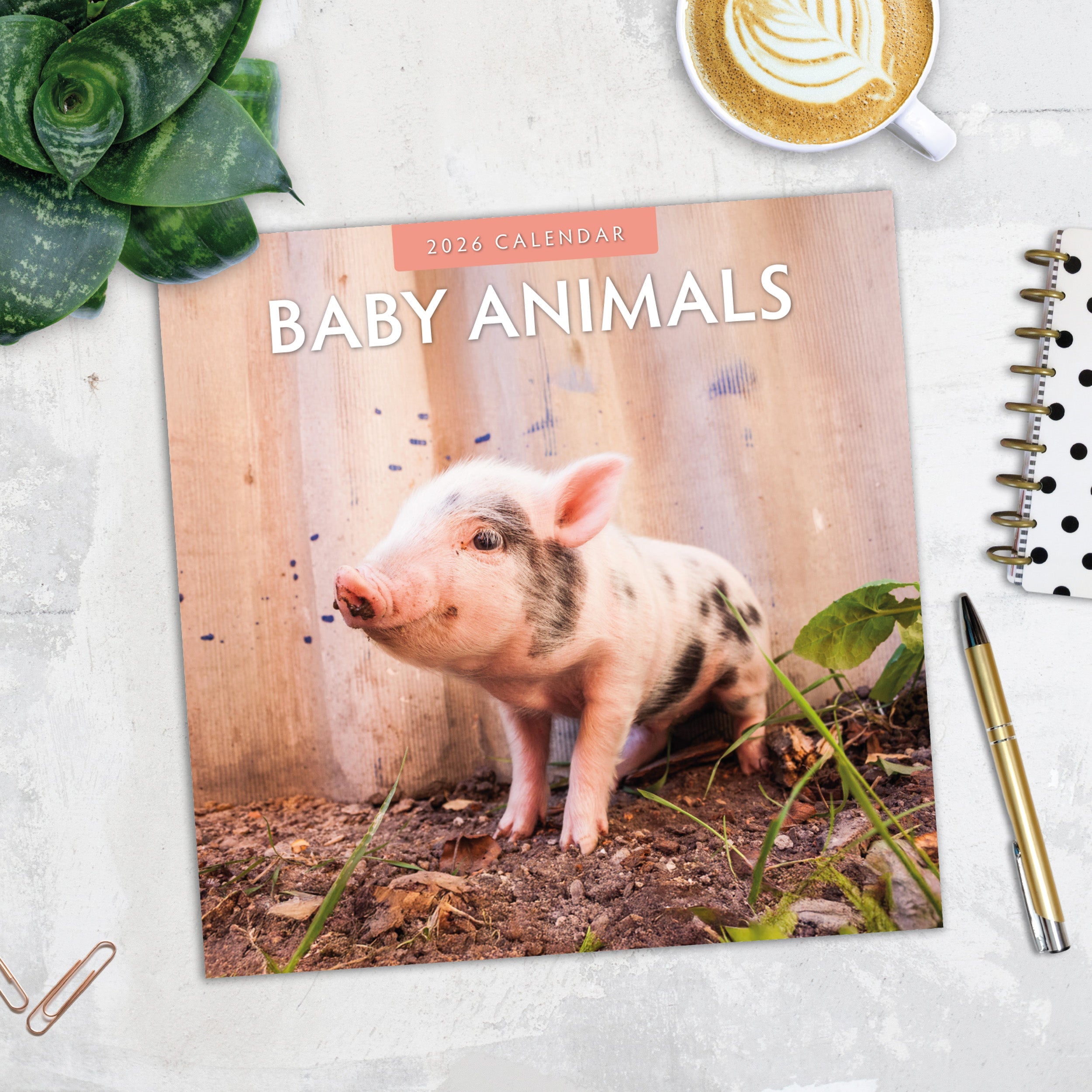 2026 Baby Animals - Square Wall Calendar
