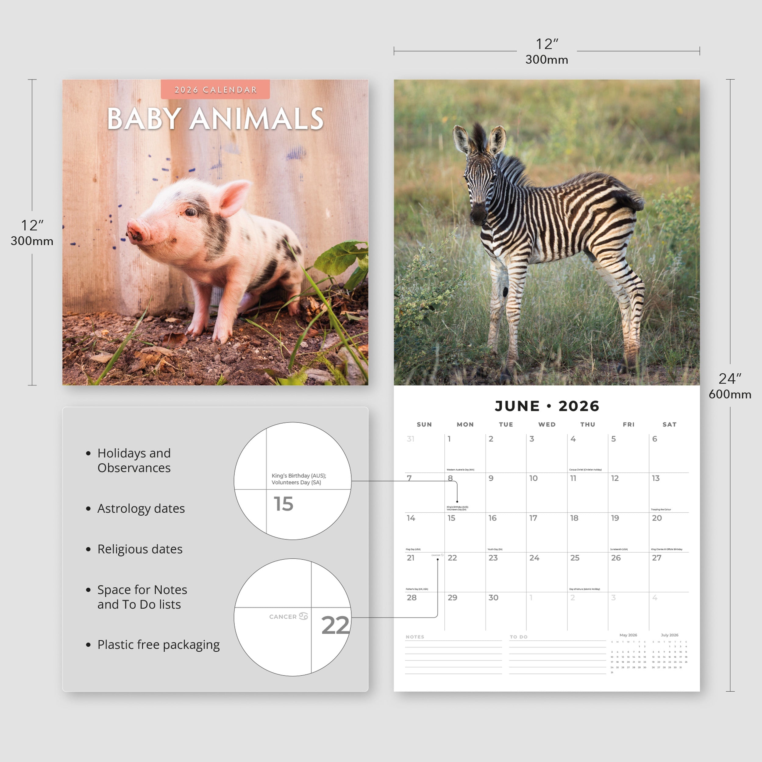 2026 Baby Animals - Square Wall Calendar