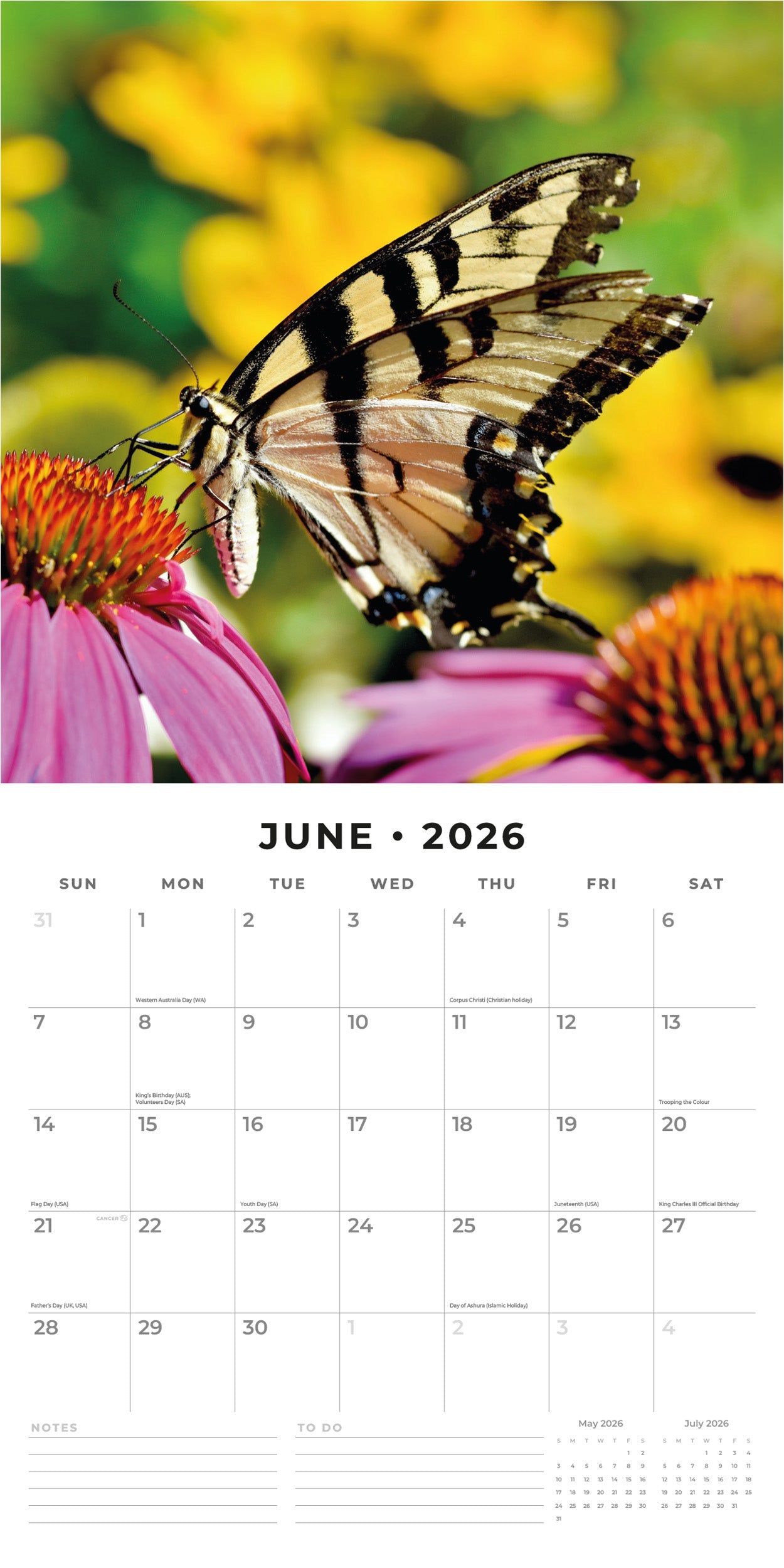2026 Butterflies - Square Wall Calendar