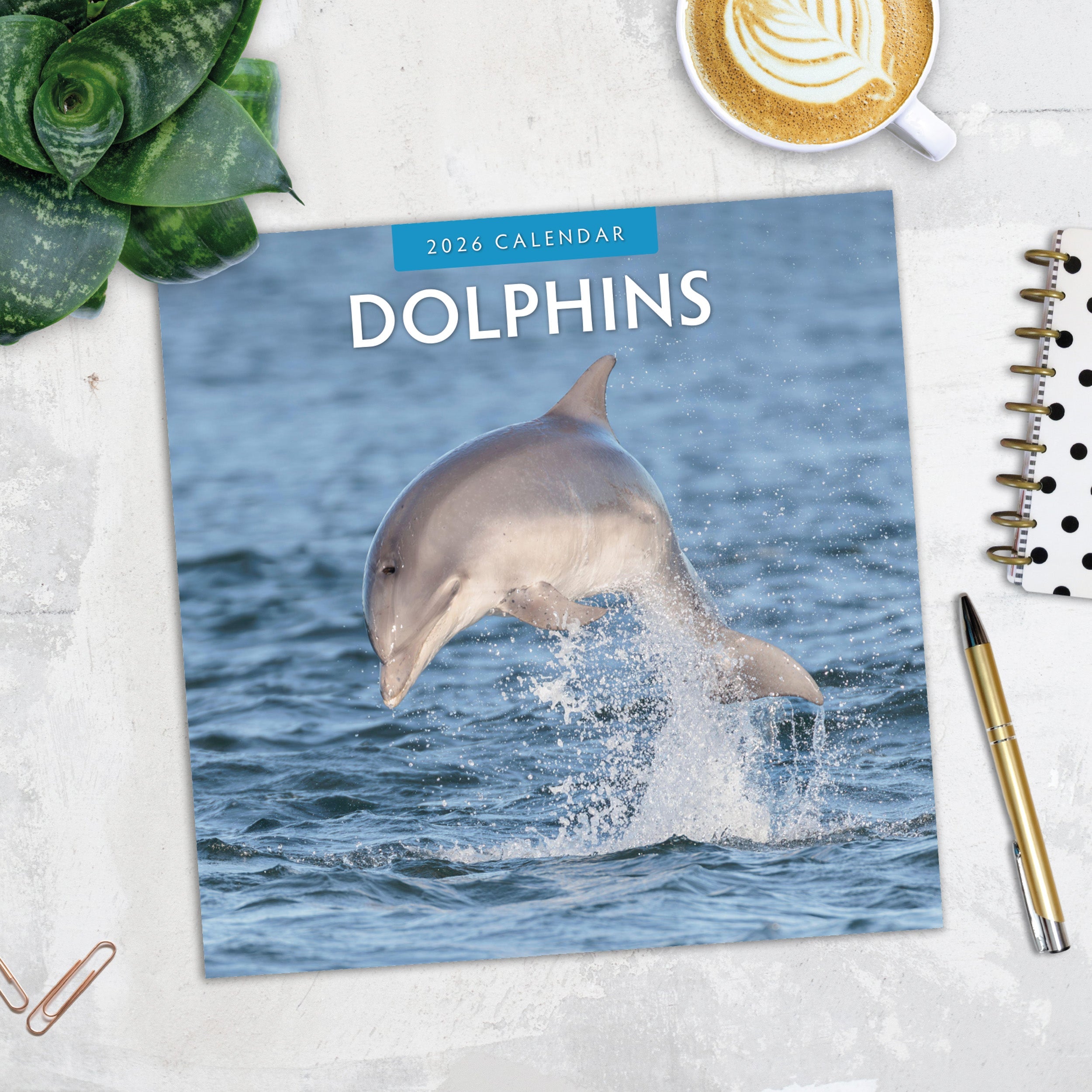 2026 Dolphins - Square Wall Calendar