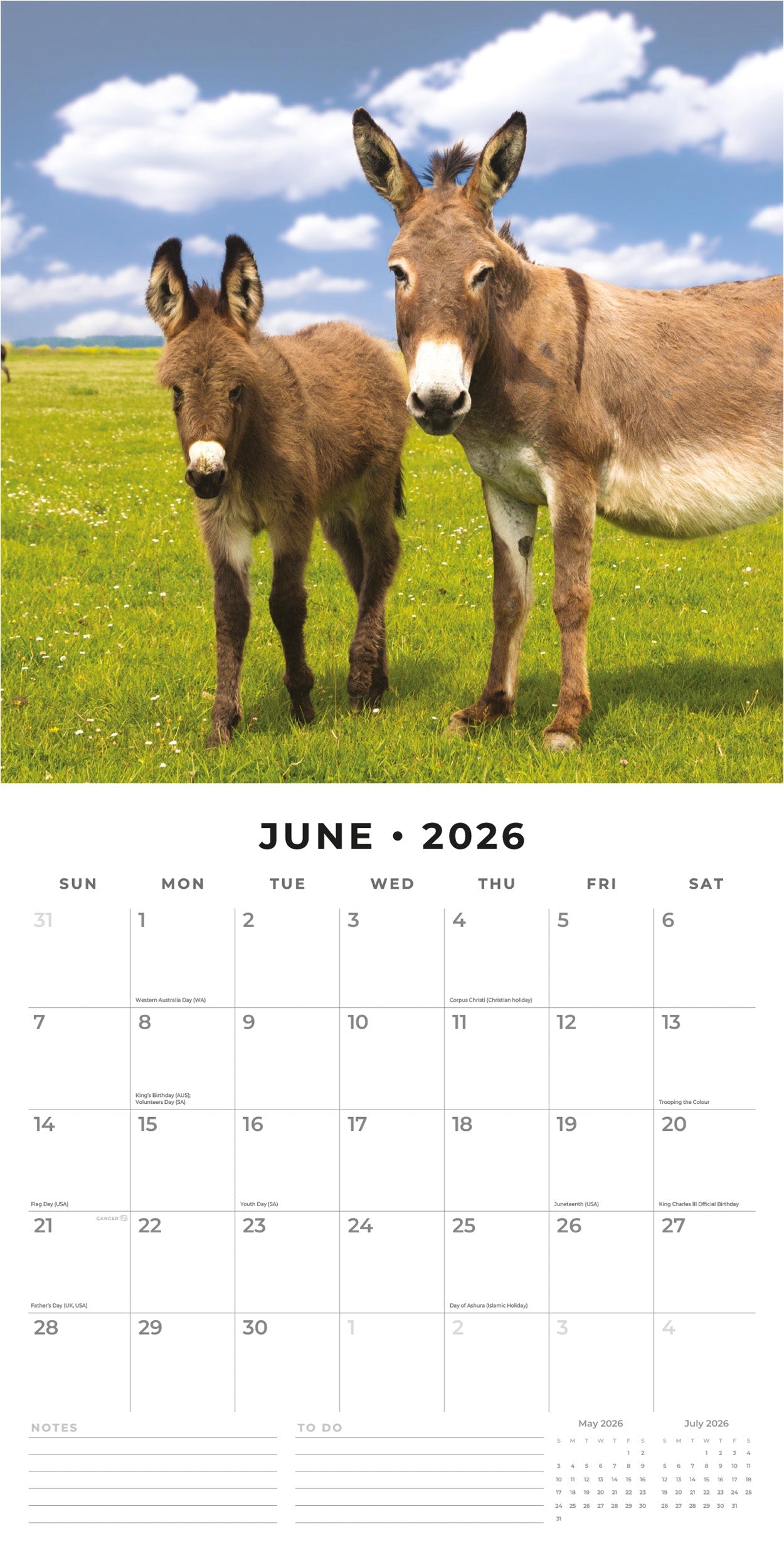 2026 Donkeys - Square Wall Calendar