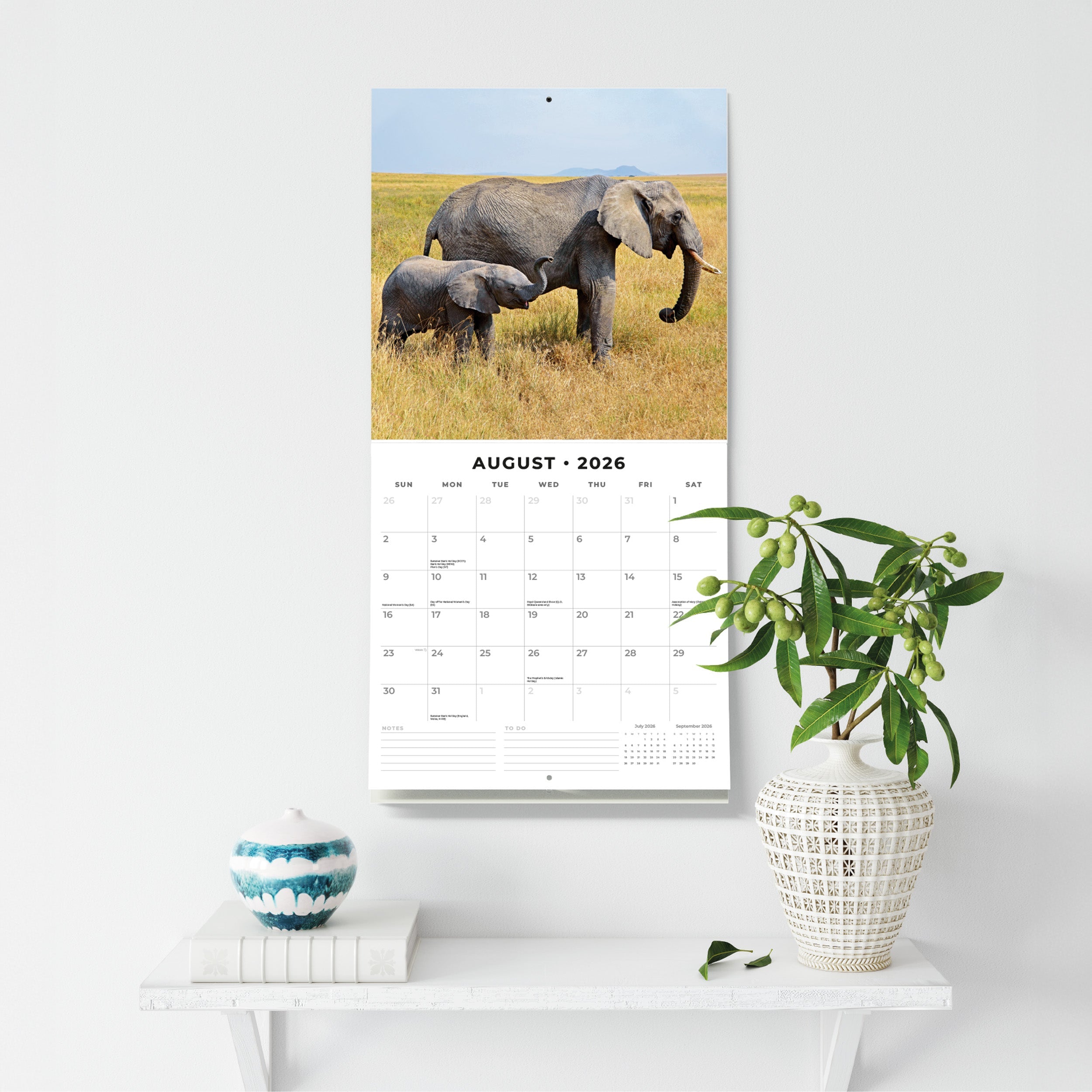 2026 Elephants - Square Wall Calendar