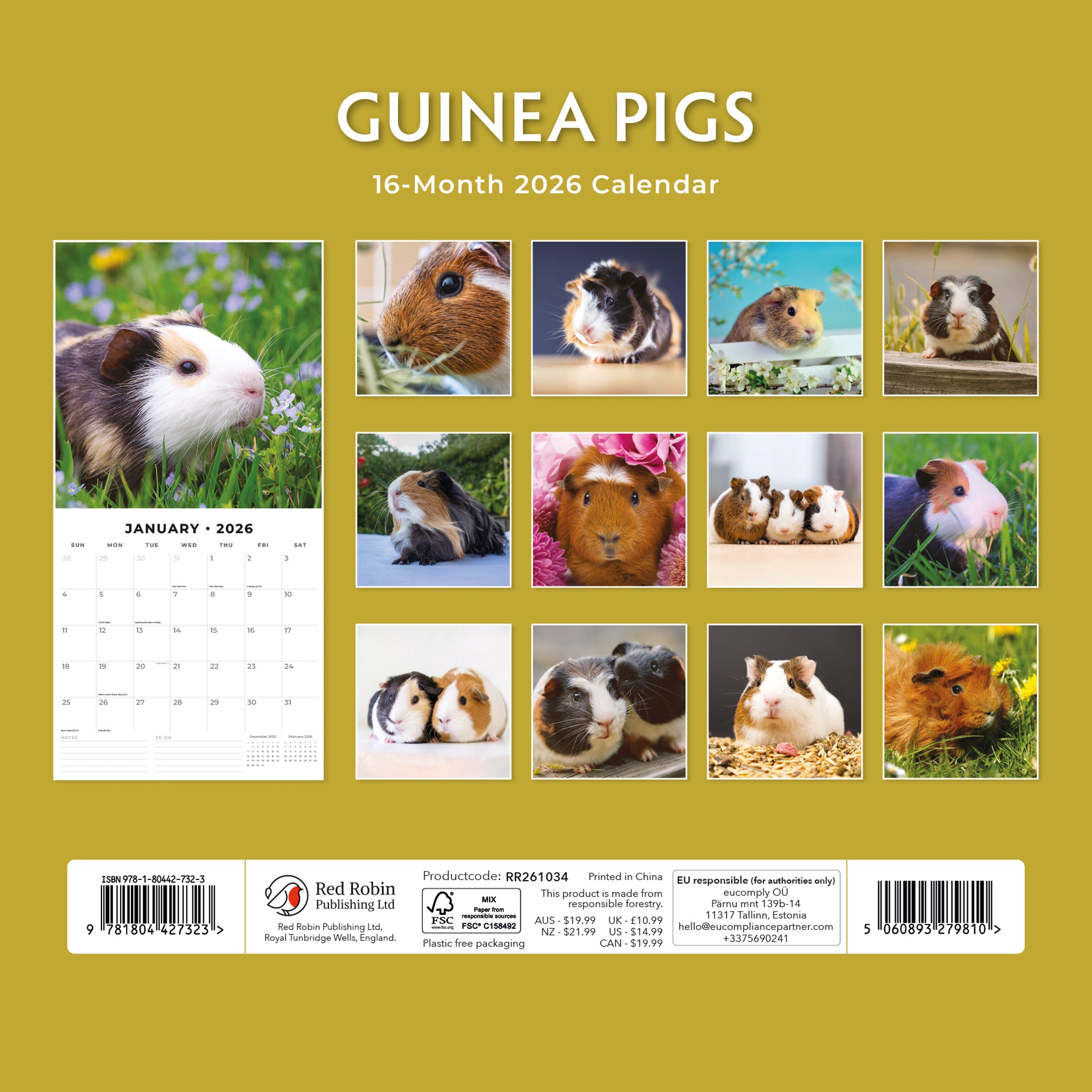 2026 Guinea Pigs - Square Wall Calendar