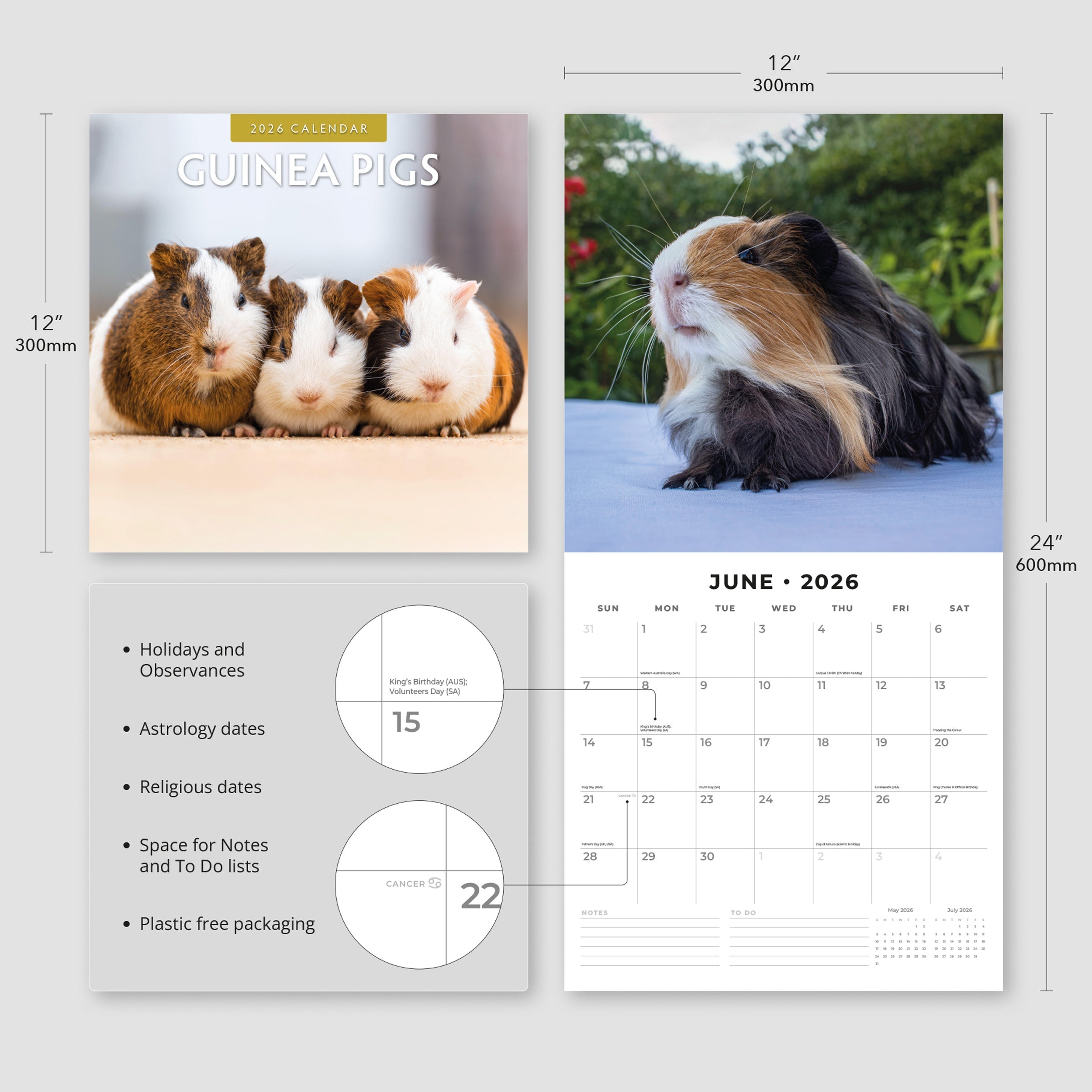 2026 Guinea Pigs - Square Wall Calendar