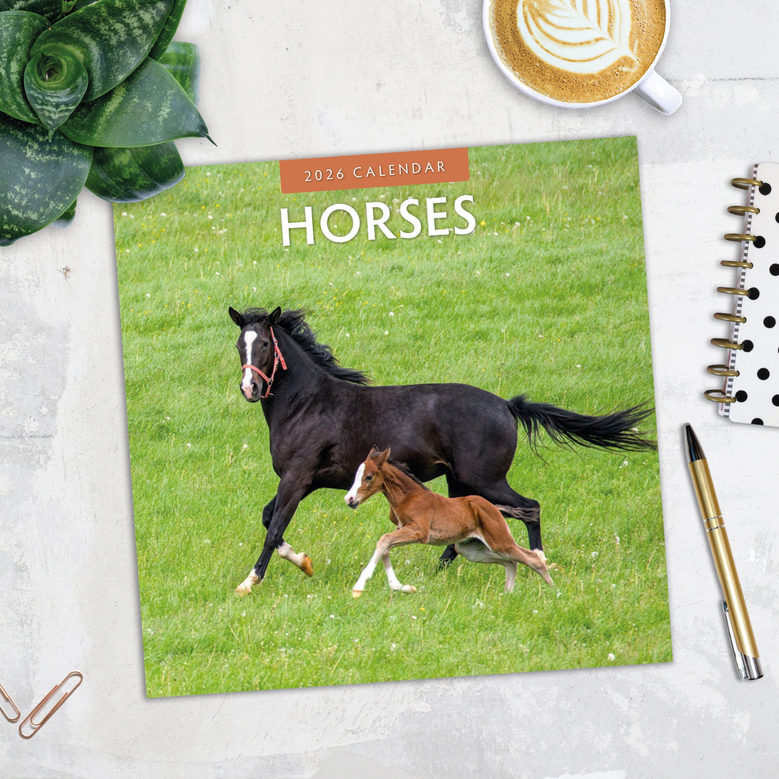 2026 Horses - Square Wall Calendar