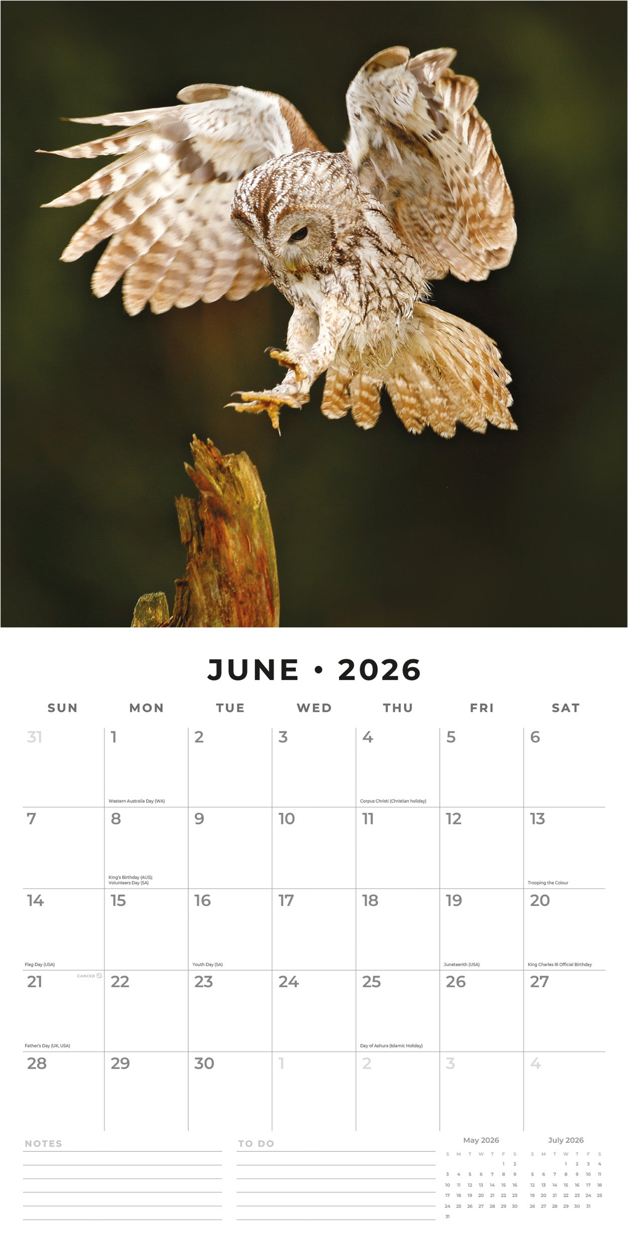 2026 Owls - Square Wall Calendar