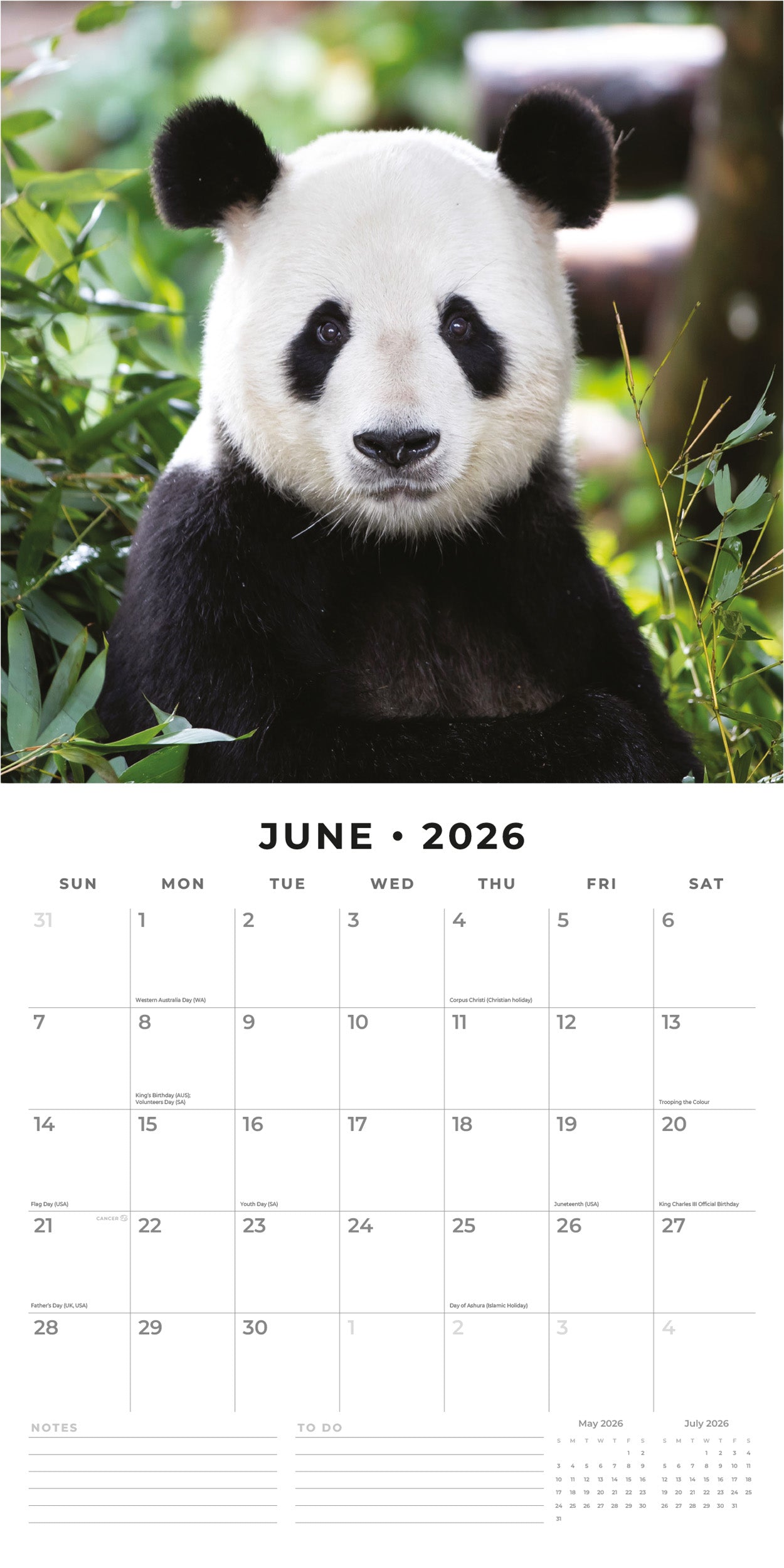 2026 Pandas - Square Wall Calendar