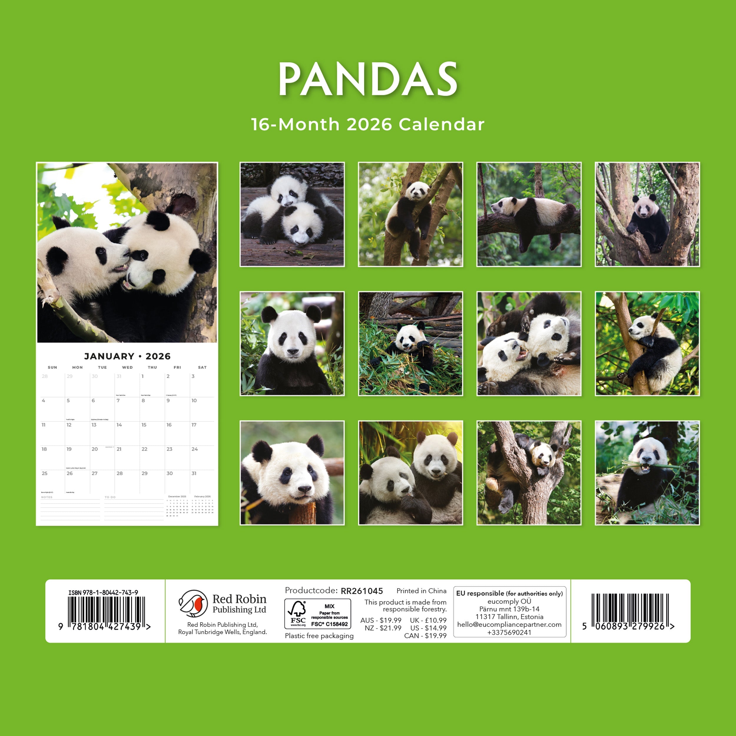 2026 Pandas - Square Wall Calendar