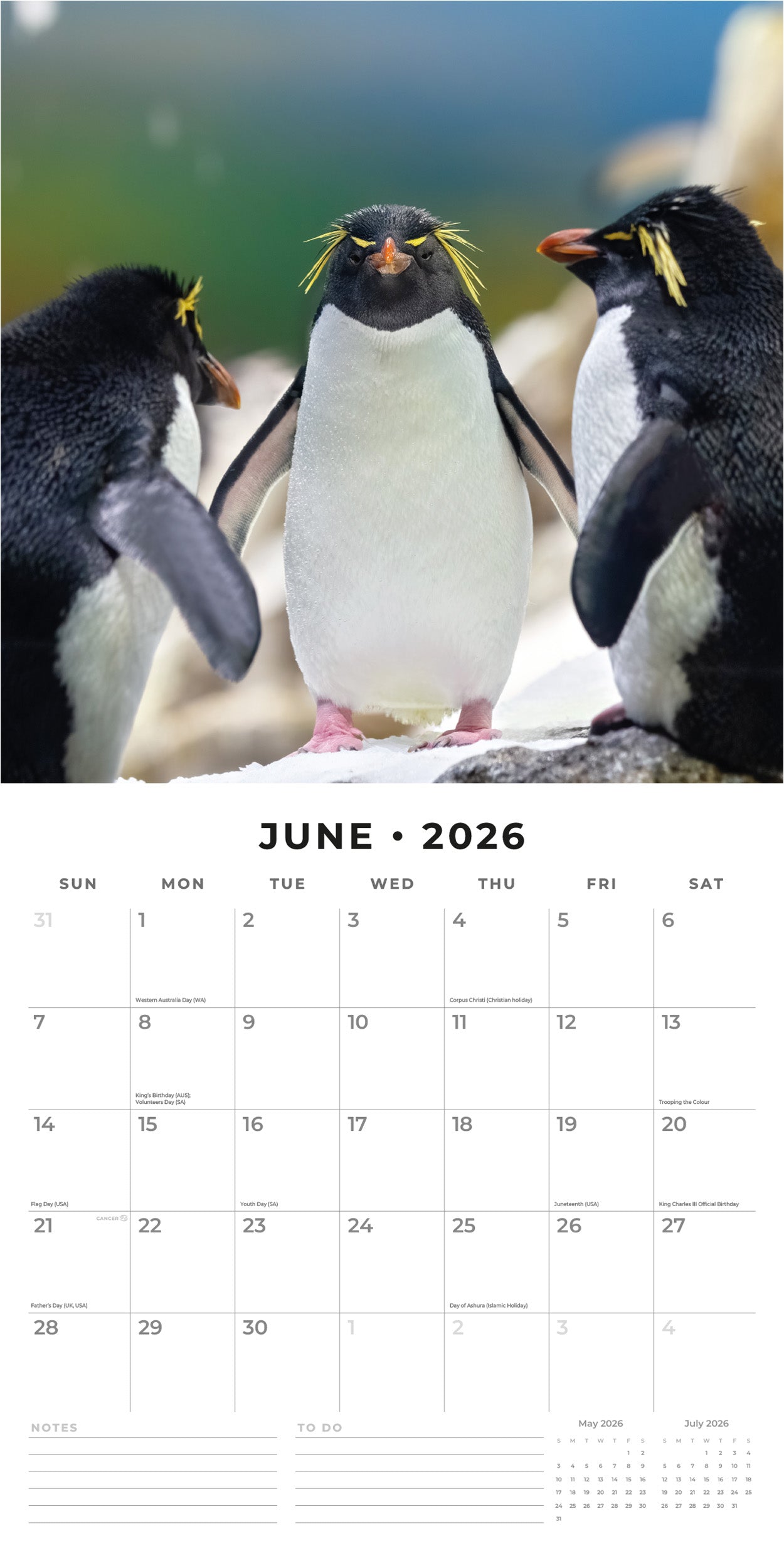 2026 Penguins - Square Wall Calendar