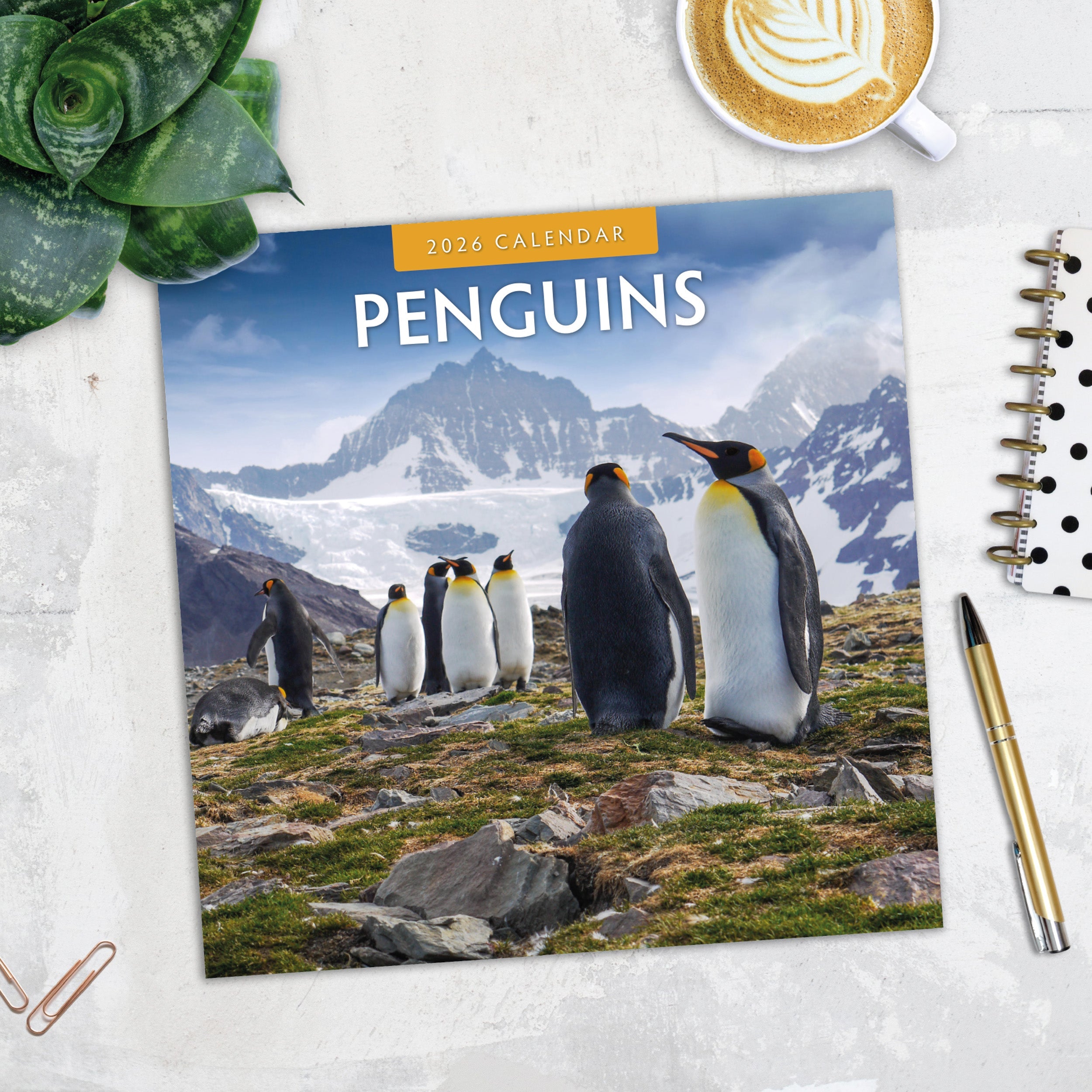 2026 Penguins - Square Wall Calendar