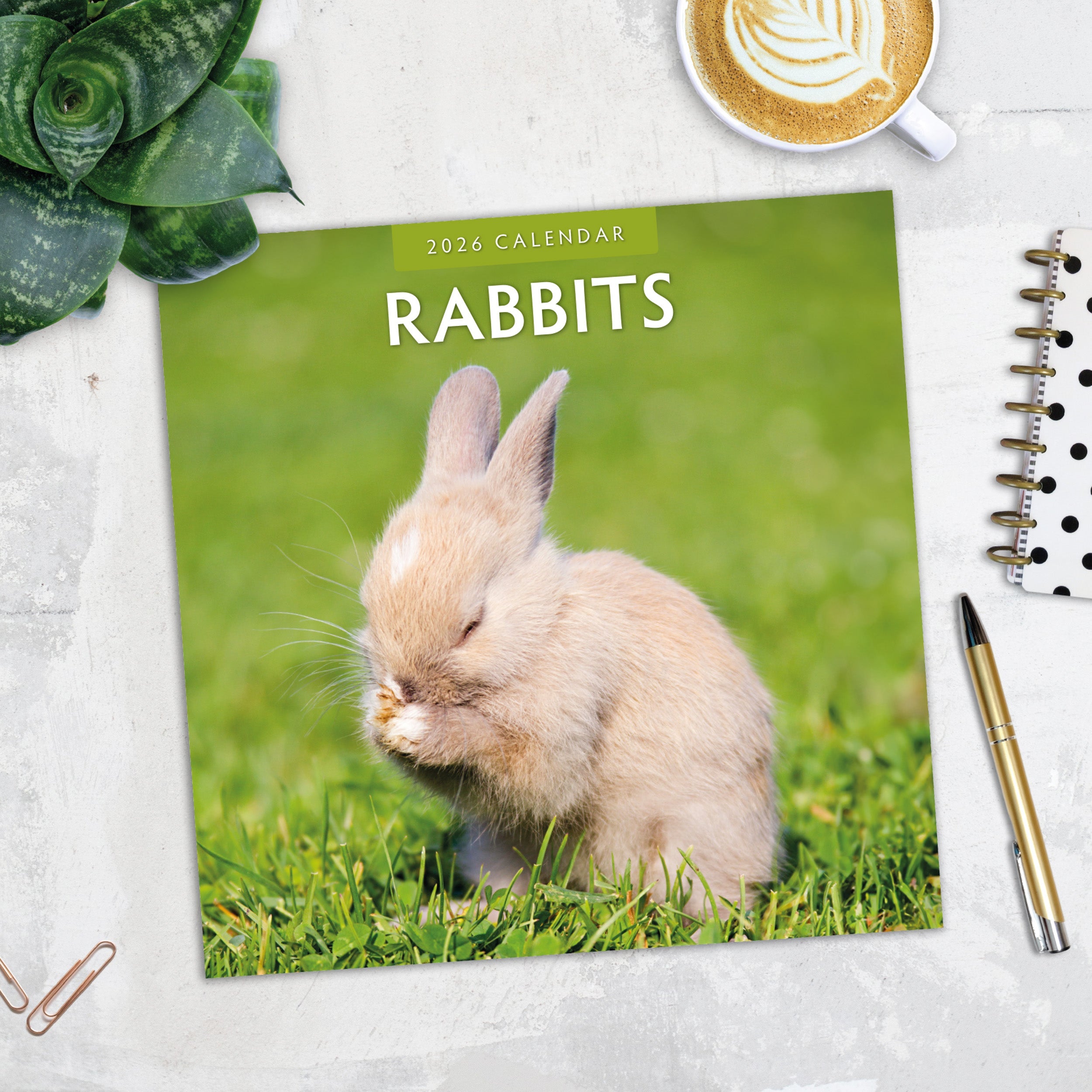 2026 Rabbits - Square Wall Calendar