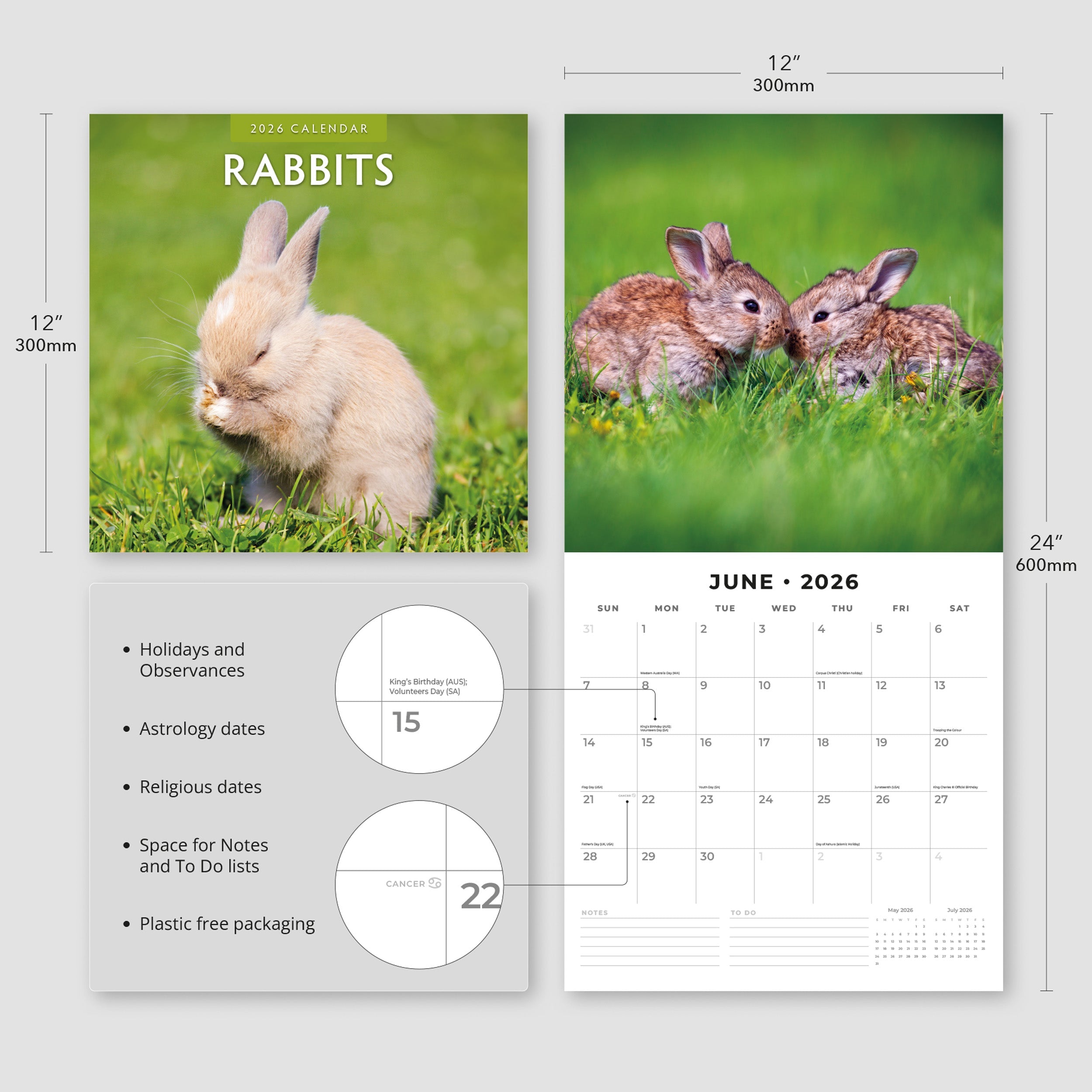 2026 Rabbits - Square Wall Calendar