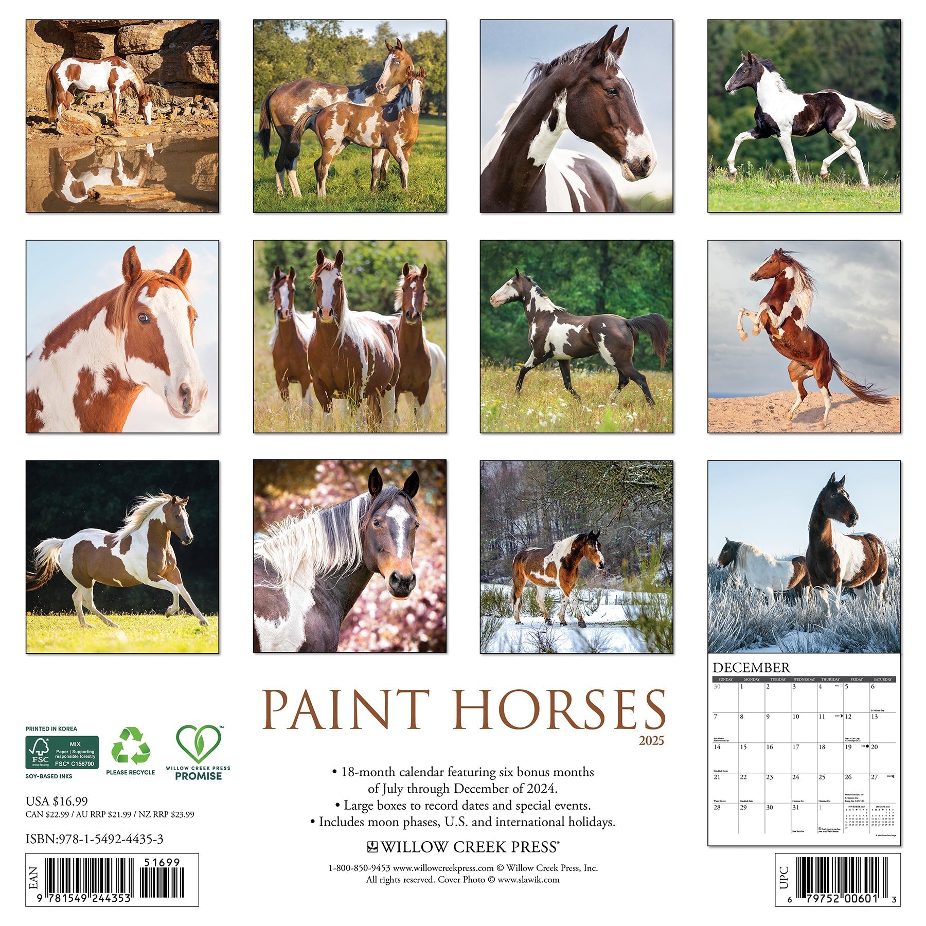 2025 Paint Horses - Square Wall Calendar