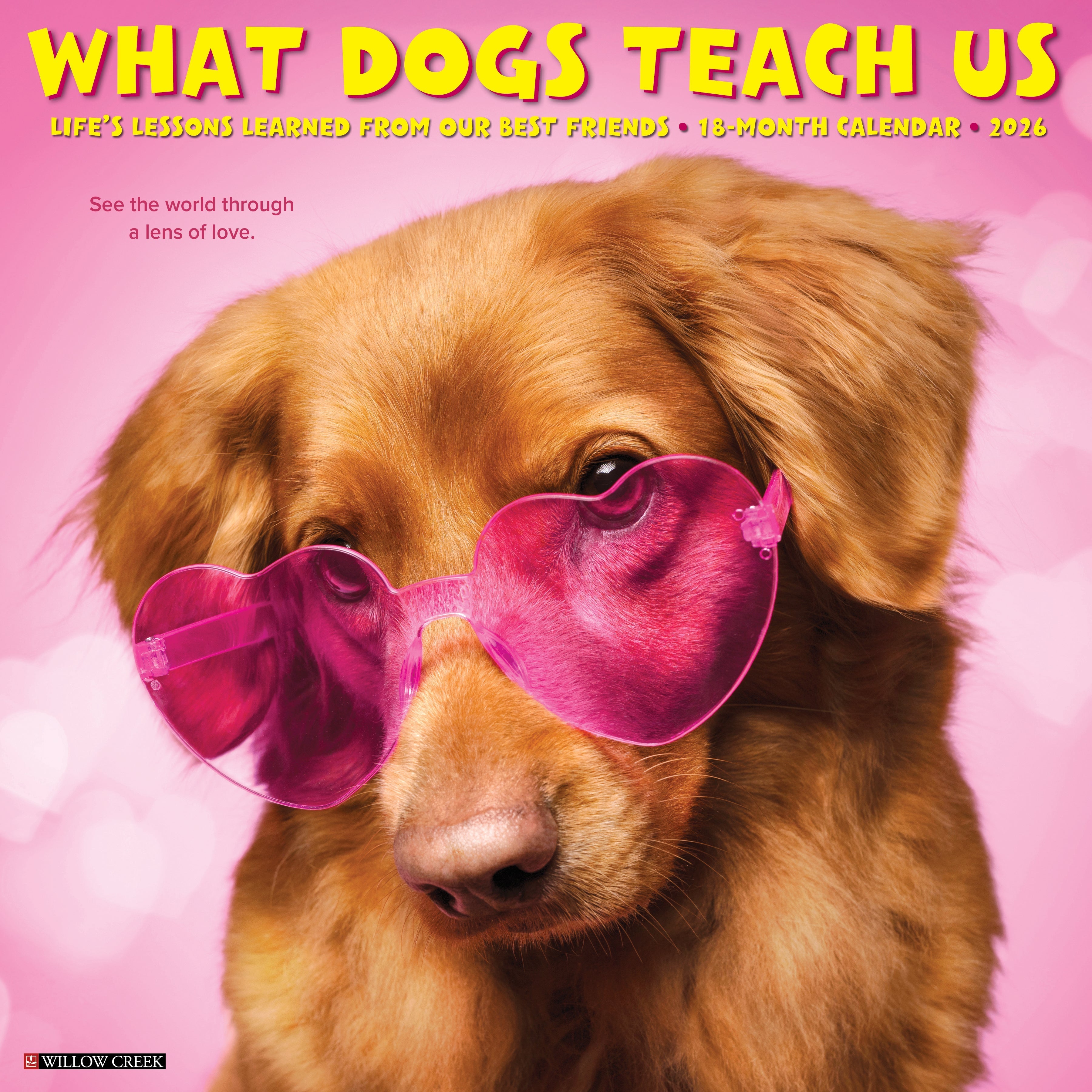 2026 What Dogs Teach Us - Square Wall