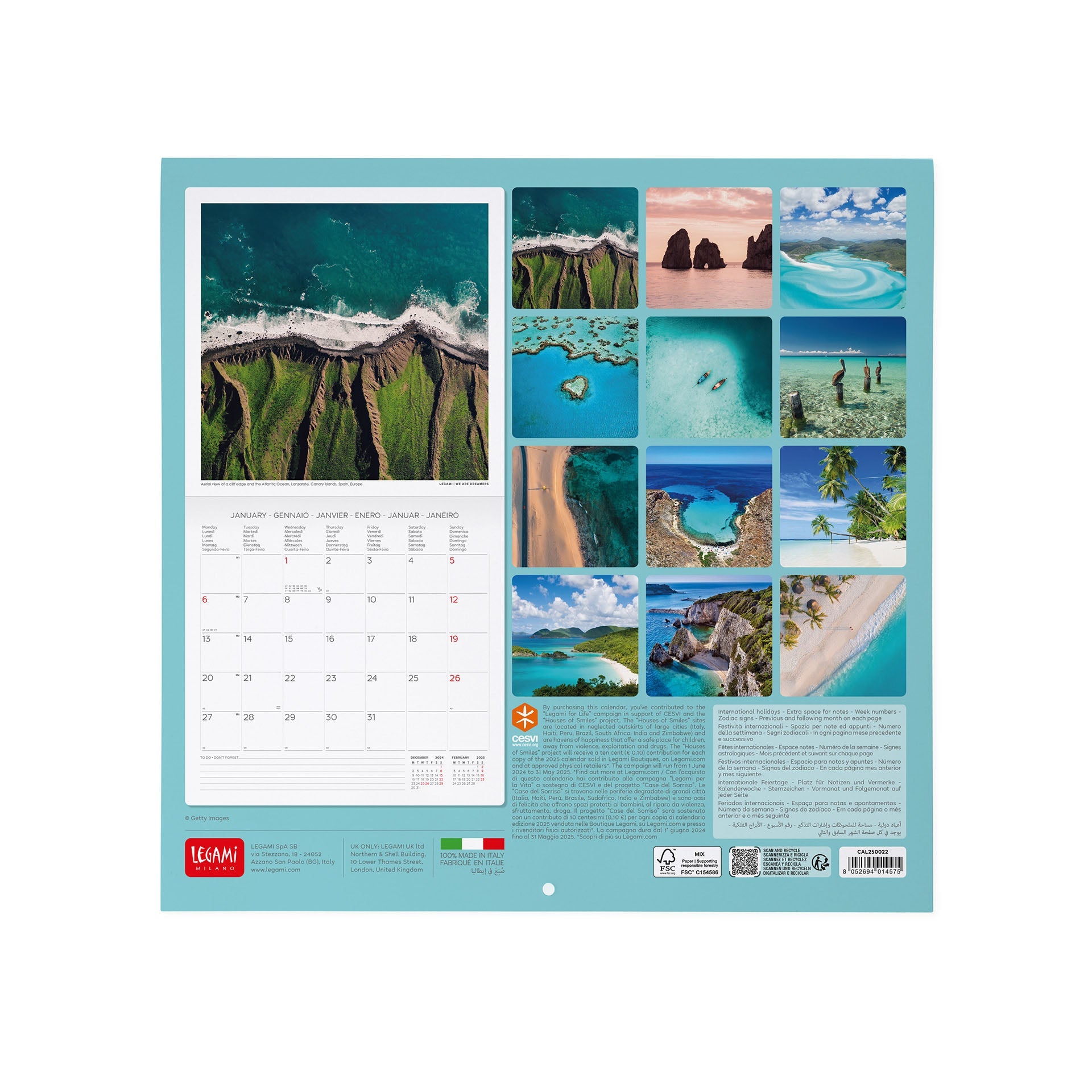 2025 Vitamin Sea - Square Wall Calendar