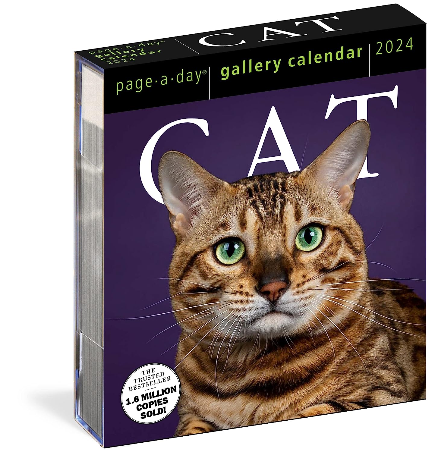 2024 Cat Gallery - Daily Boxed Page-A-Day Calendar  SOLD OUT