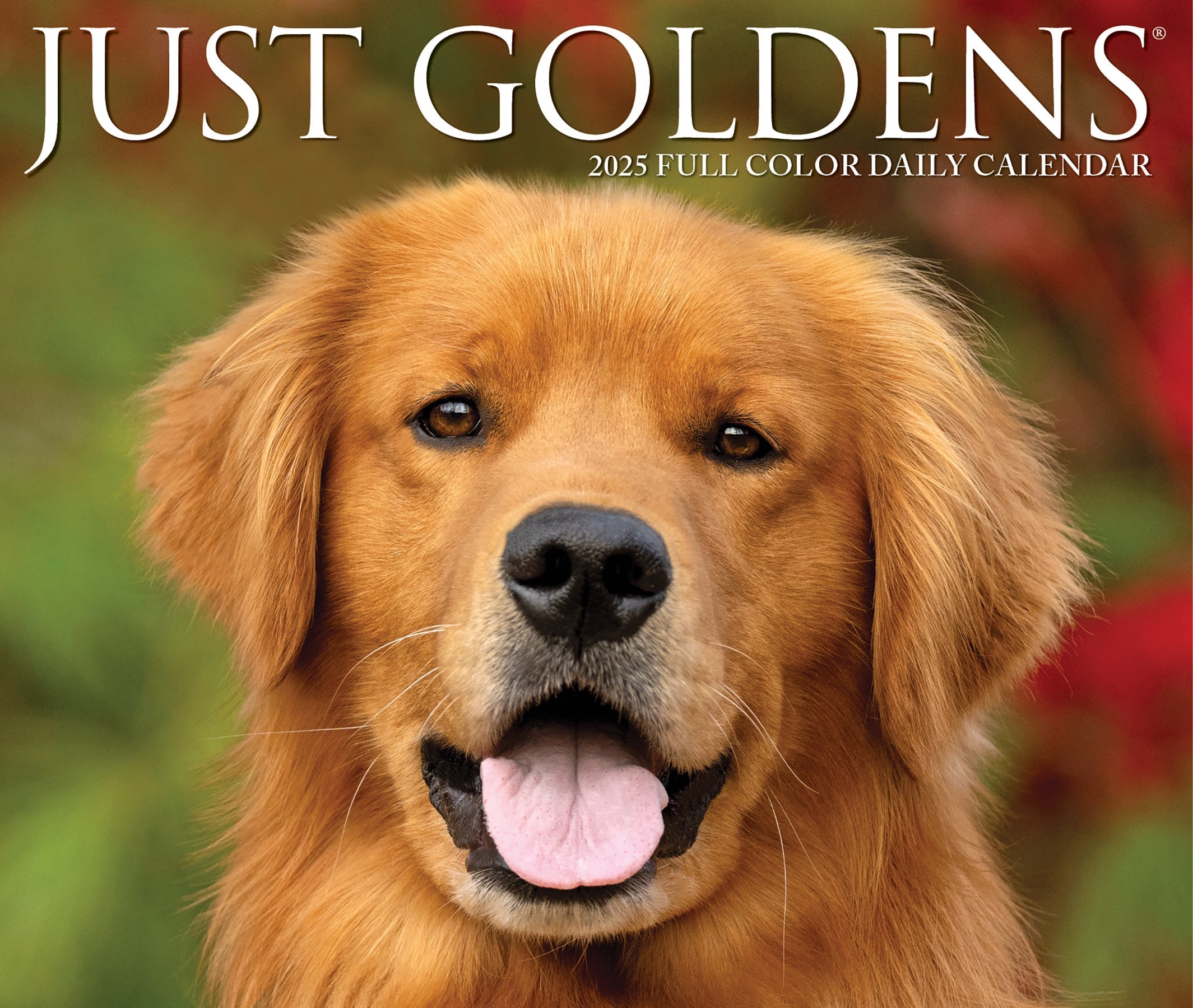 2025 Goldens - Daily Boxed Page-A-Day Calendar