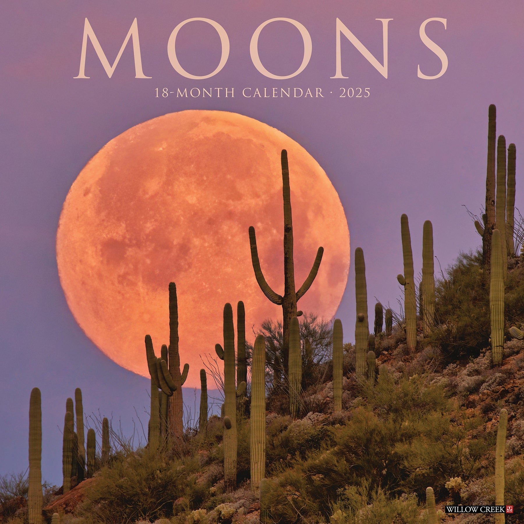 2025 Moons - Square Wall Calendar