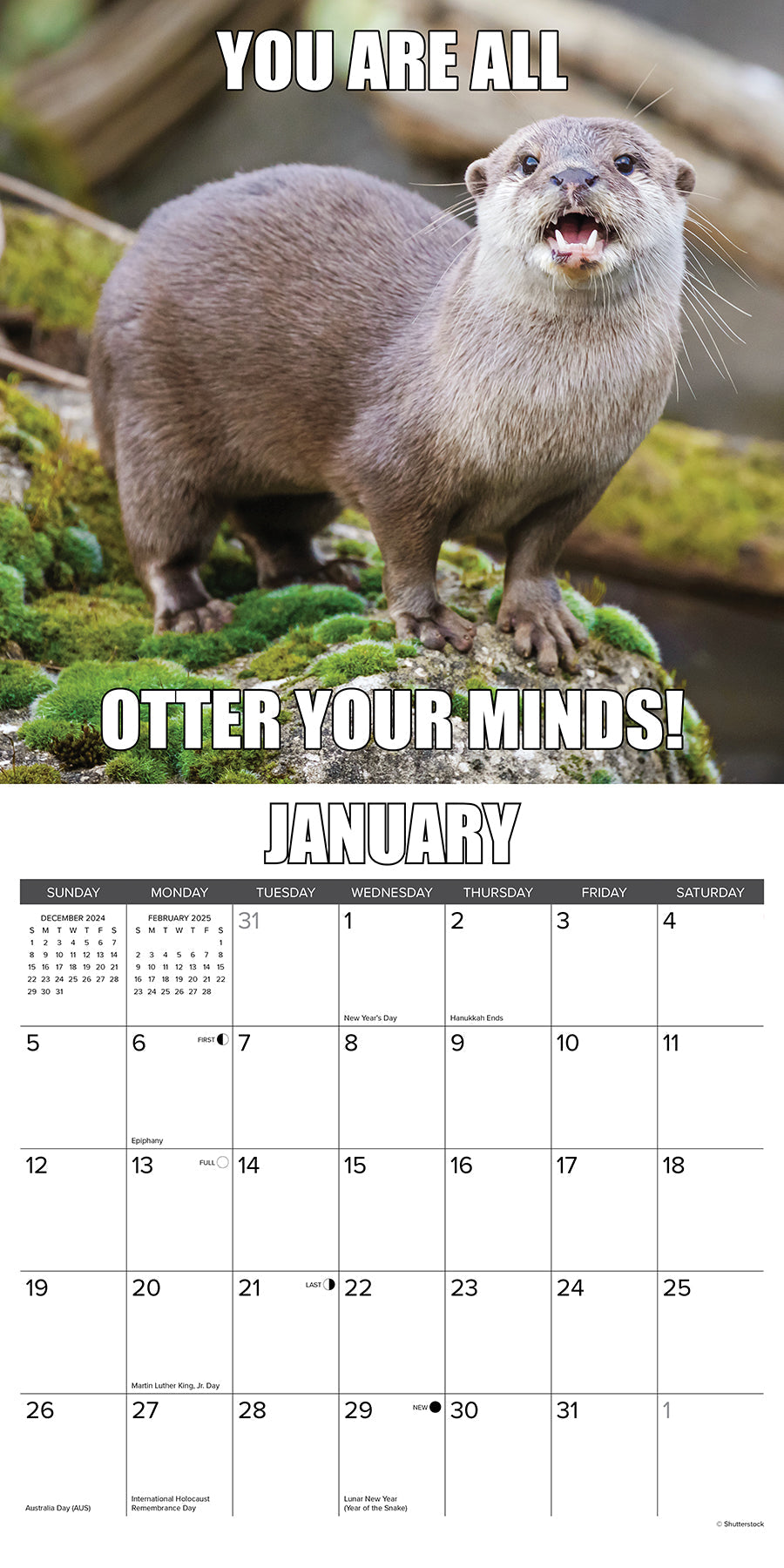 2025 In Otter News - Square Wall Calendar