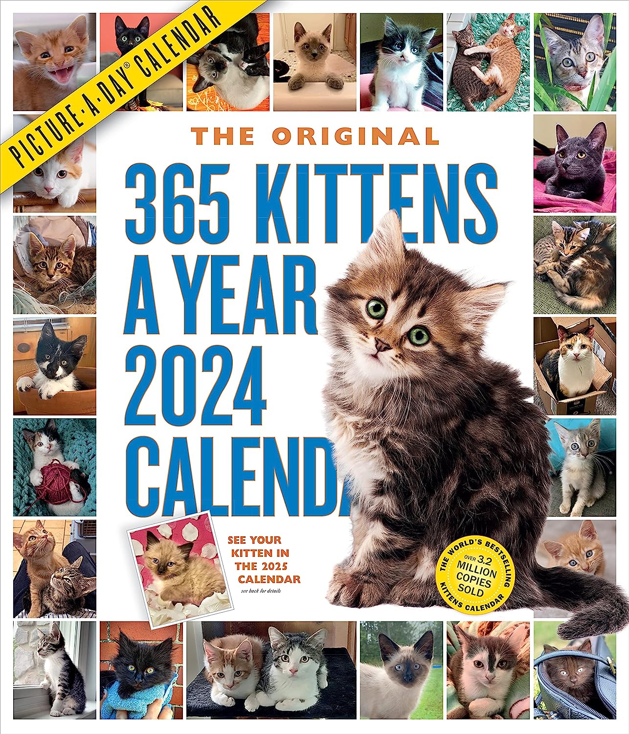 2024 365 Kittens-A-Year - Deluxe Wall Calendar  SOLD OUT