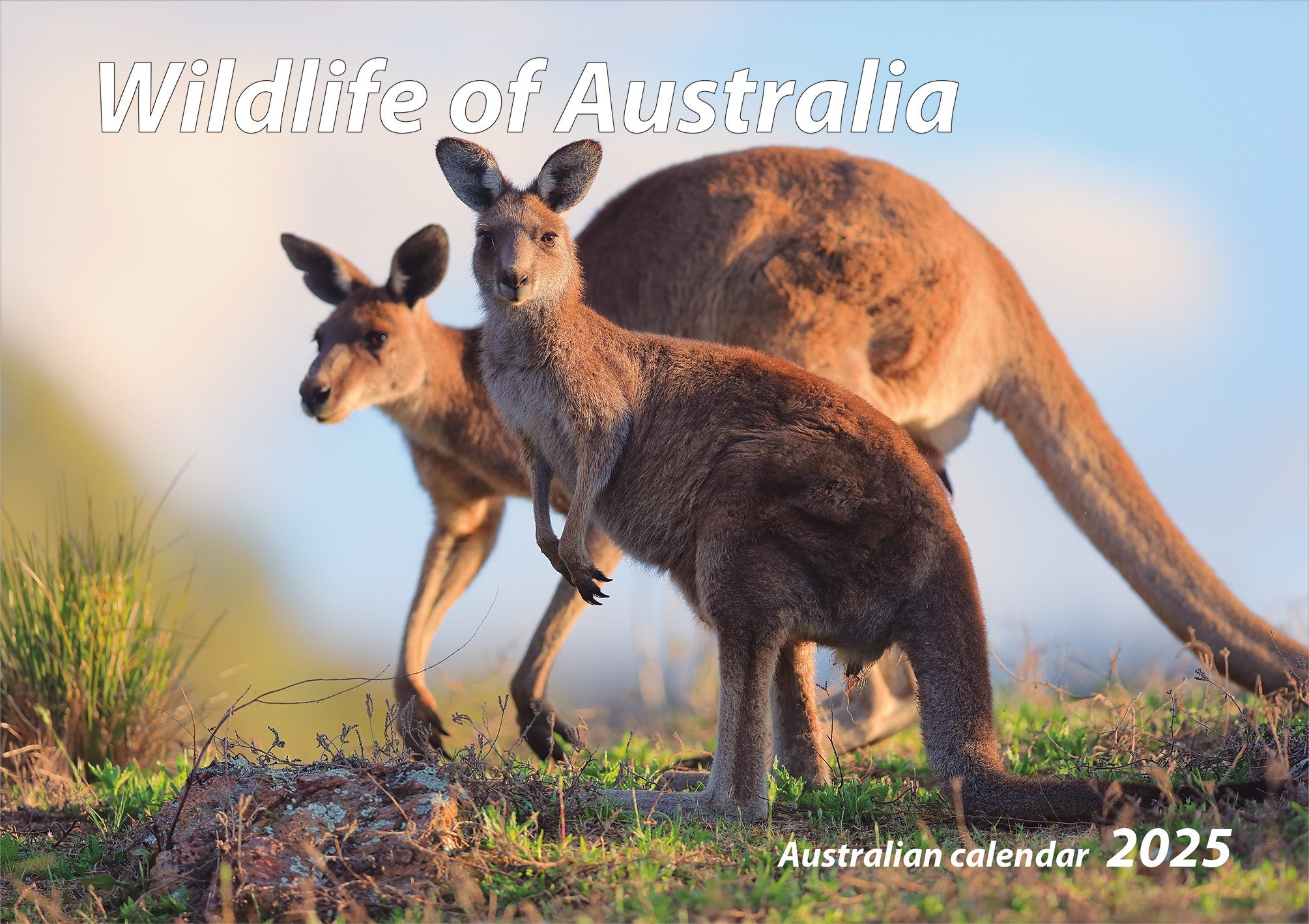 2025 Wildlife Of Australia - Horizontal Wall Calendar