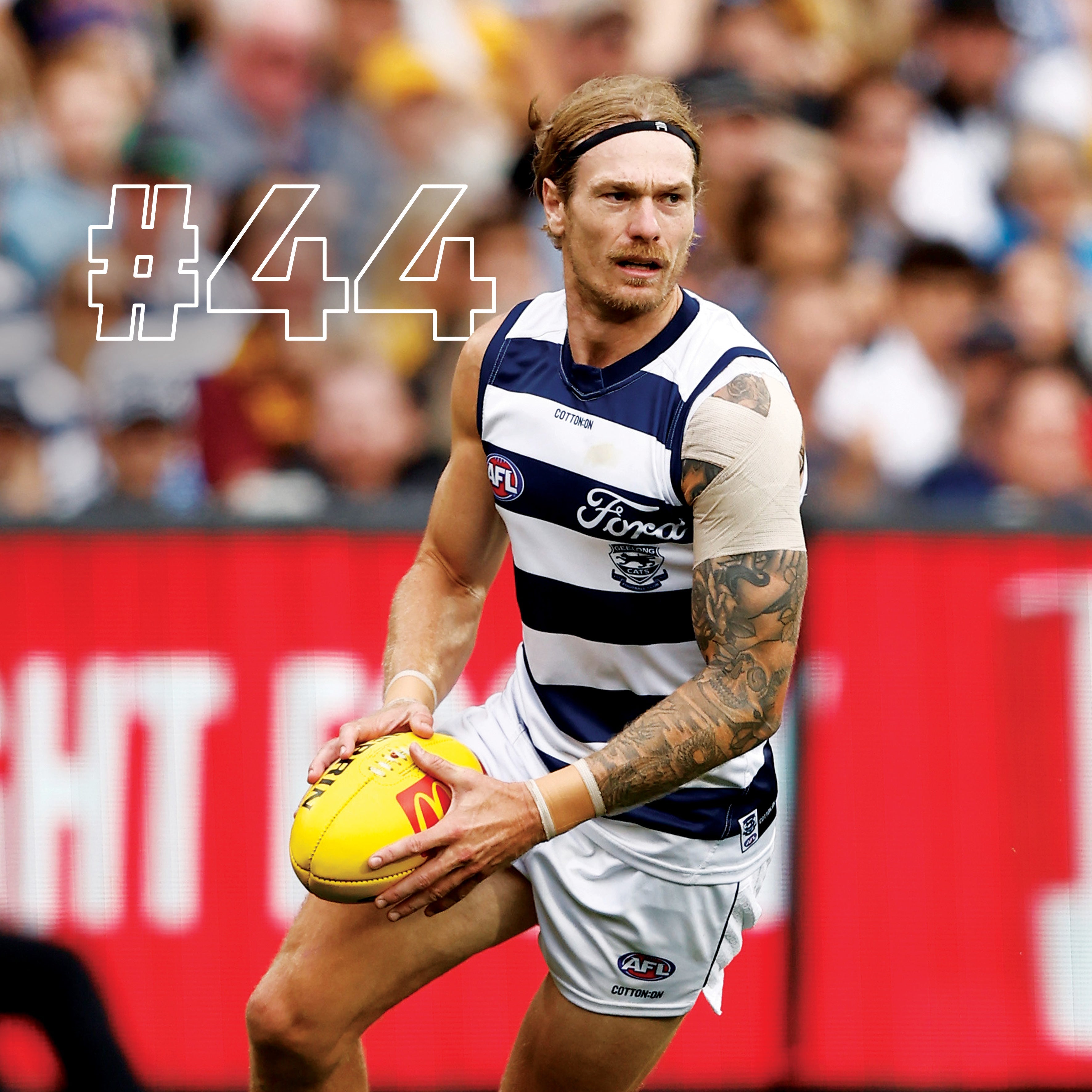 2025 AFL Geelong Cats - Square Wall Calendar