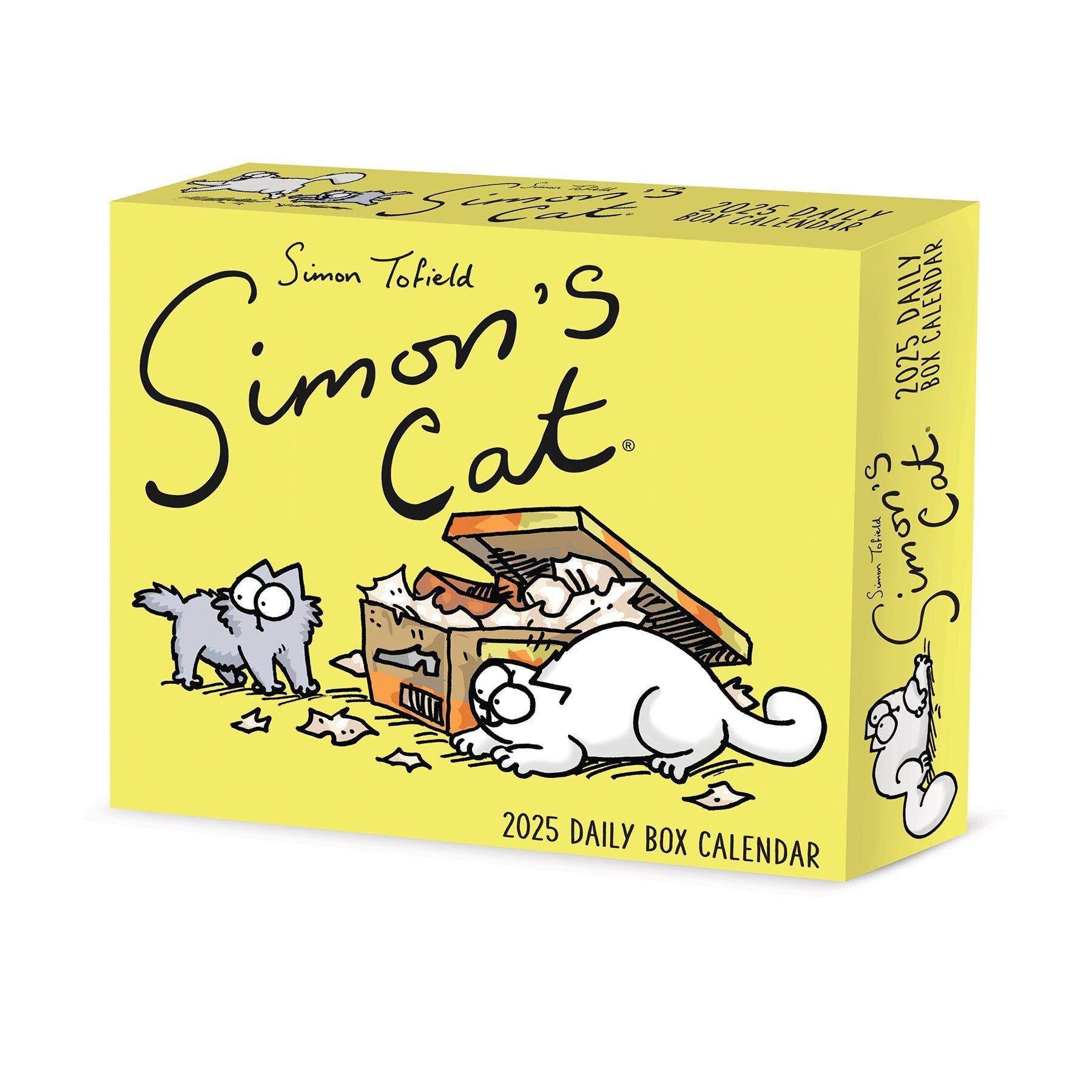 2025 Simon's Cat - Daily Boxed Page-A-Day Calendar