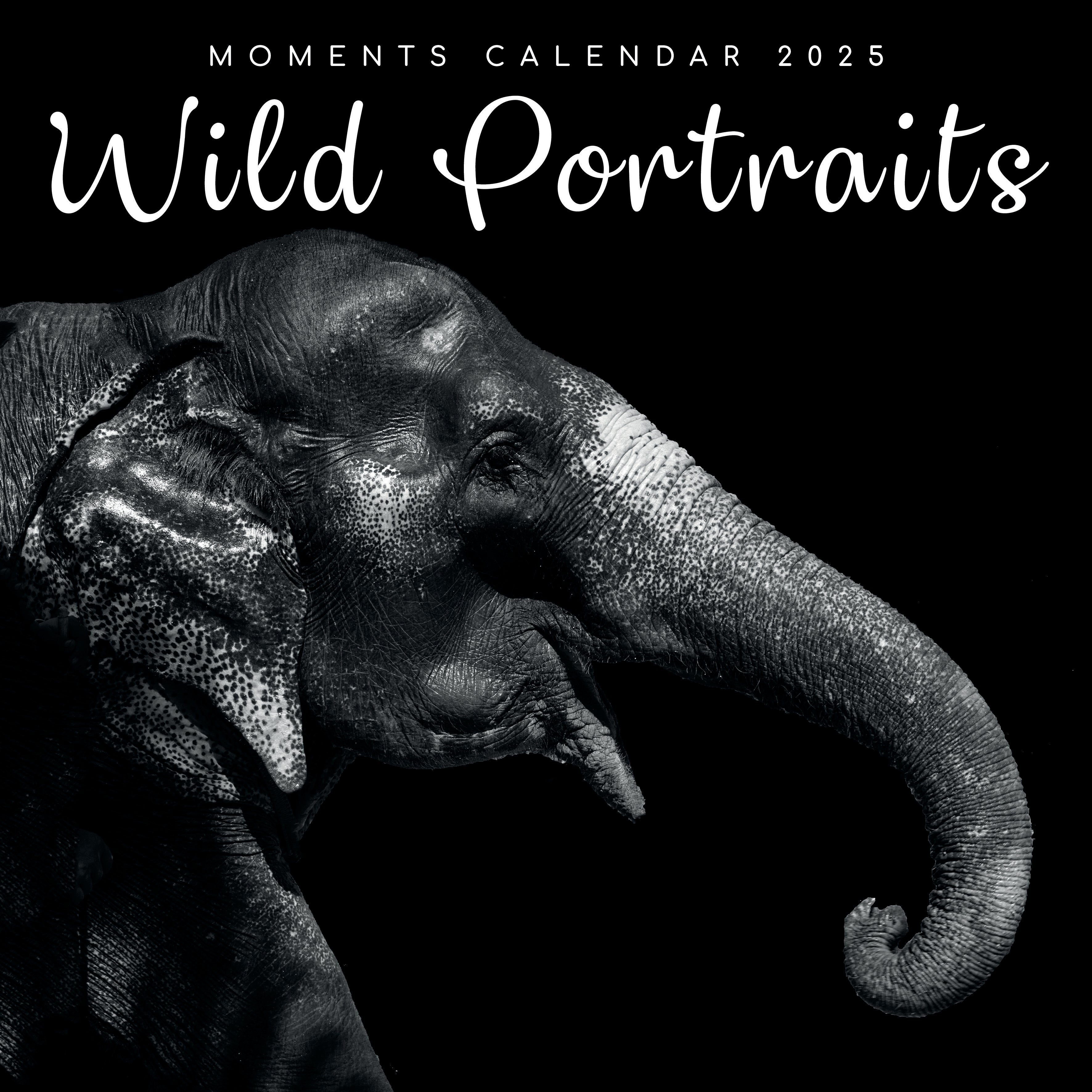 2025 Wild Portraits - Square Wall Calendar