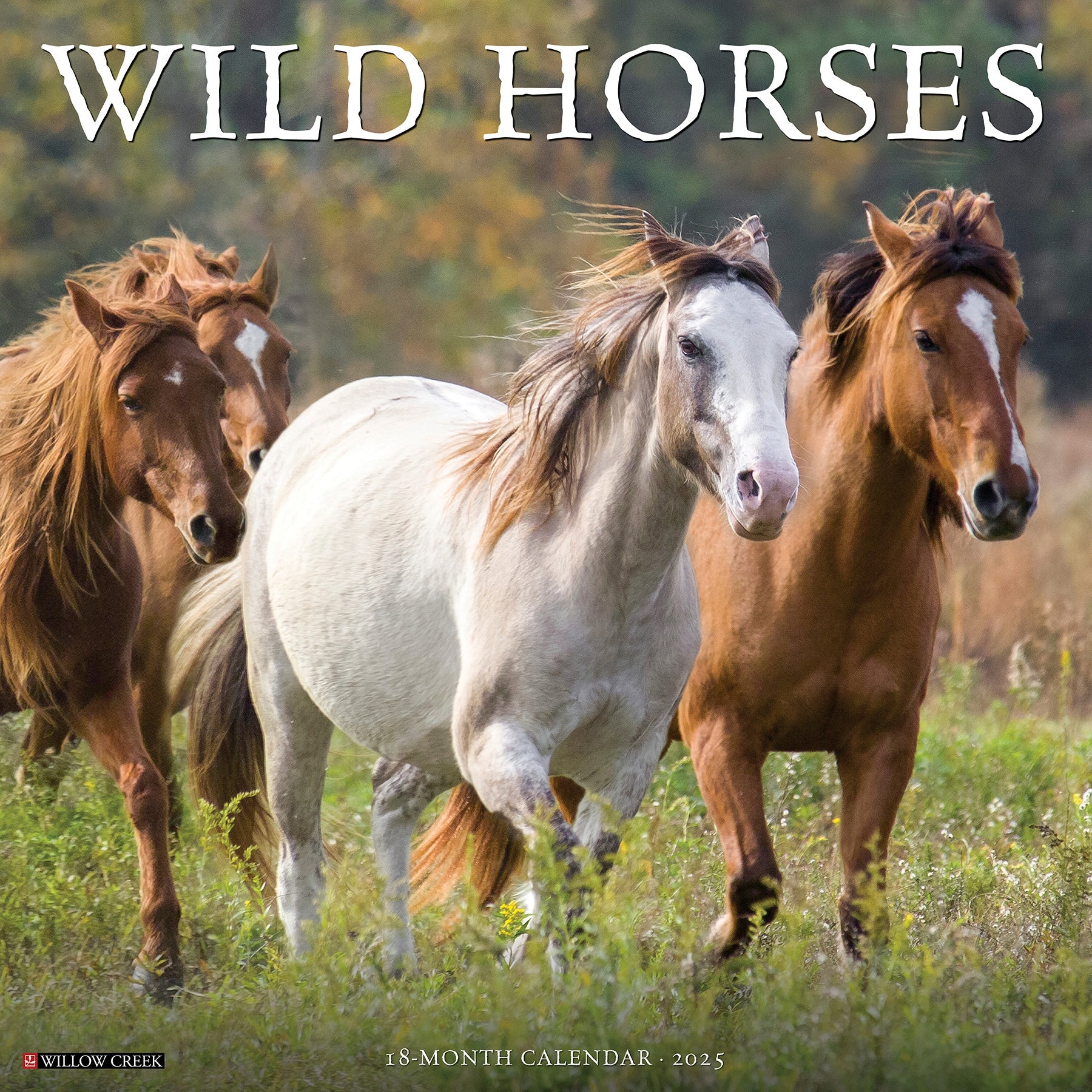 2025 Wild Horses - Square Wall Calendar