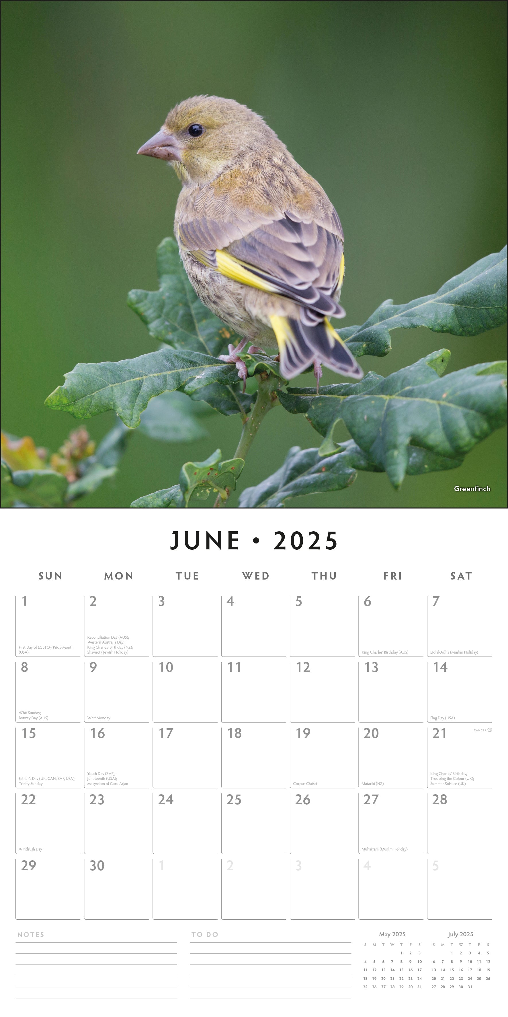 2025 Birds - Square Wall Calendar