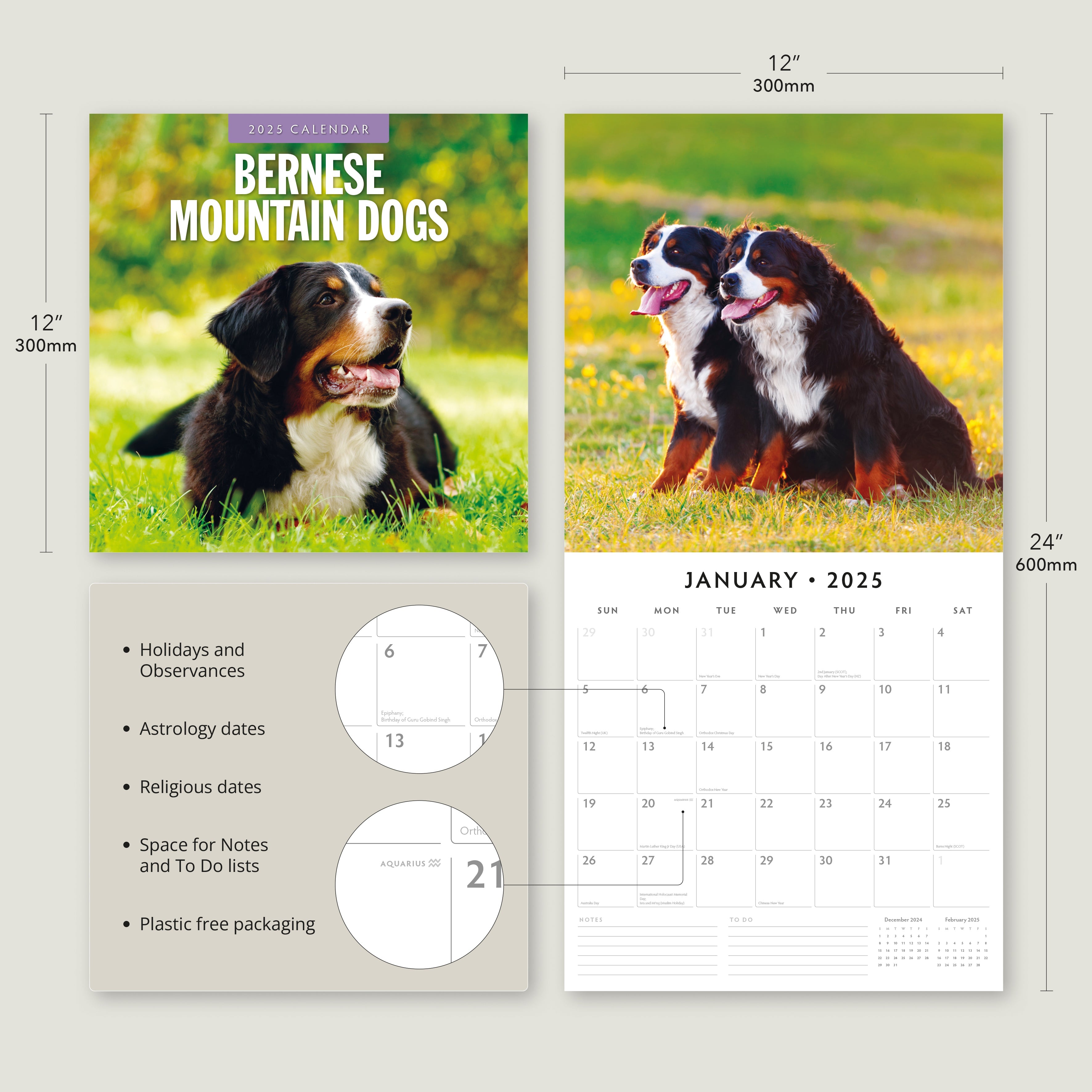 2025 Bernese Mountain Dogs - Square Wall Calendar