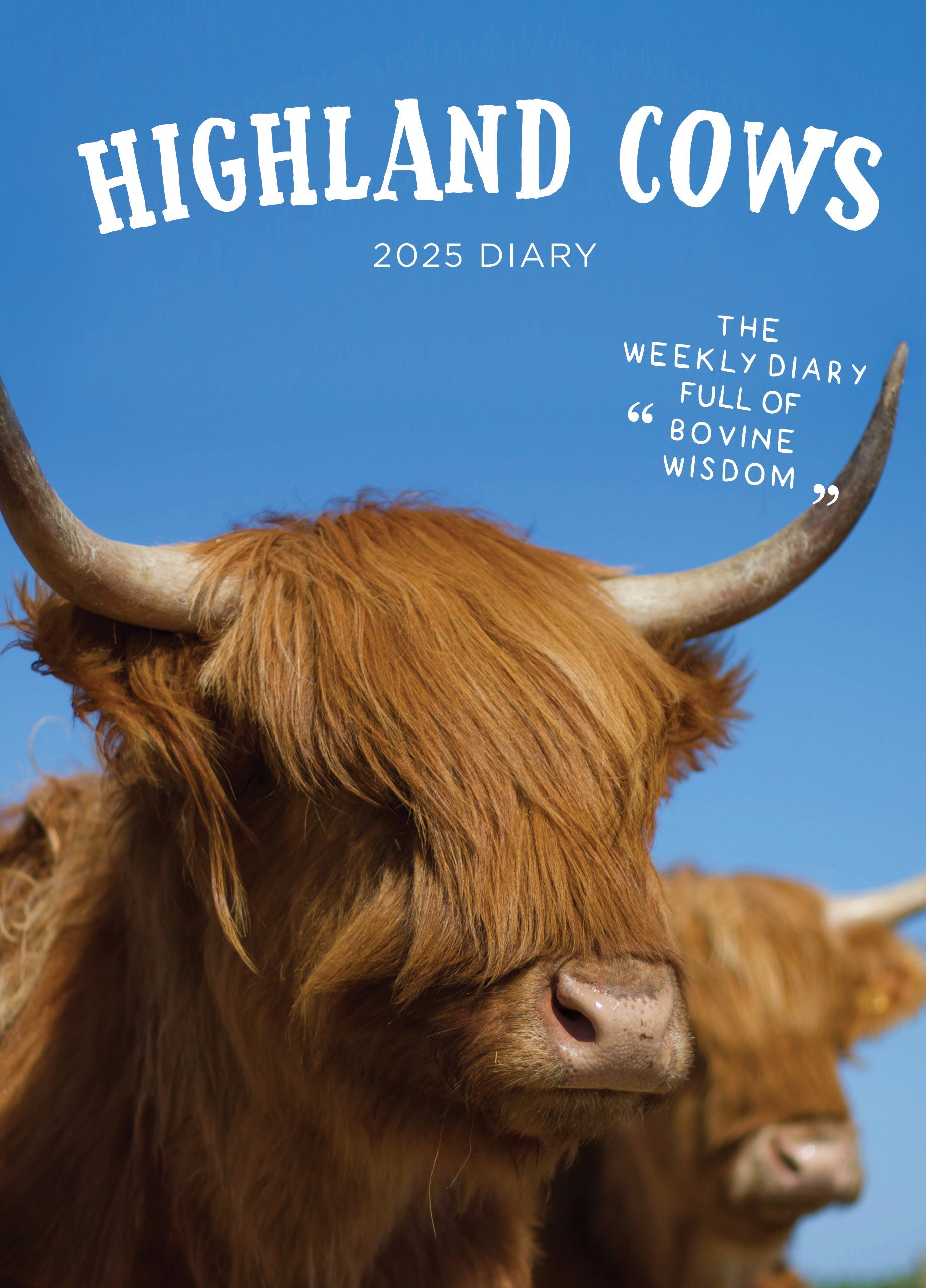 2025 Highland Cows - Bi-Weekly Diary/Planner