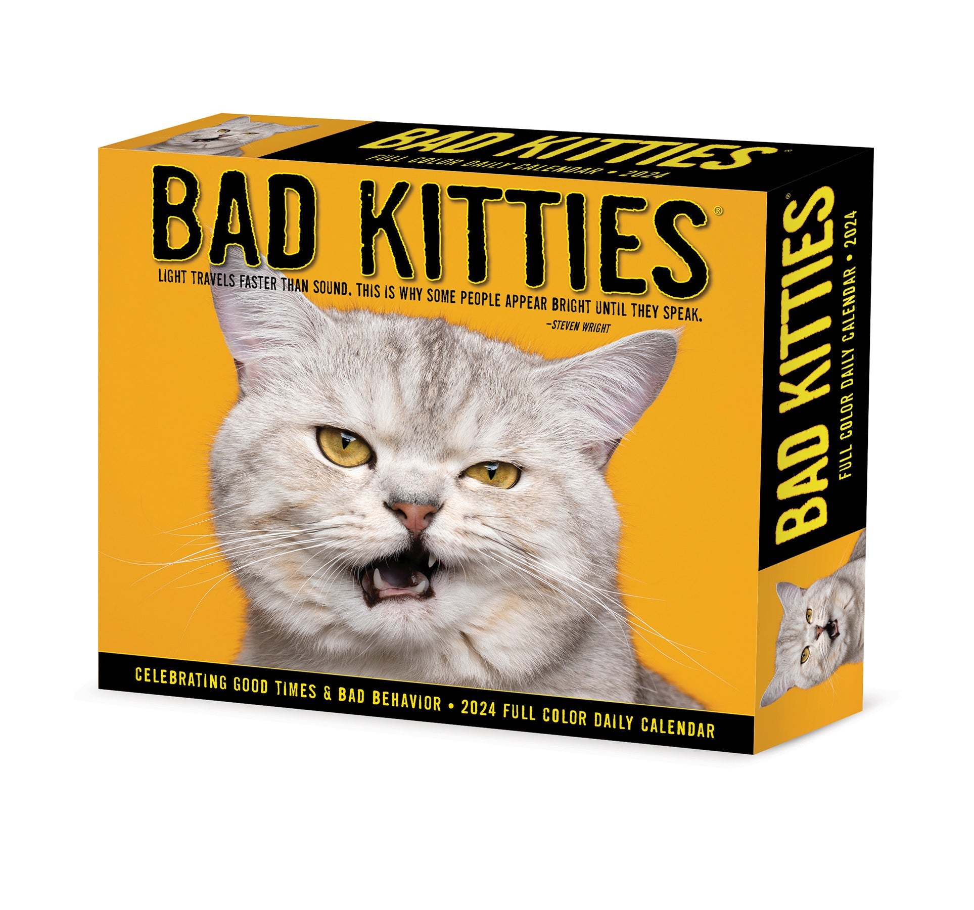 2024 Bad Kitties - Daily Boxed Page-A-Day Calendar