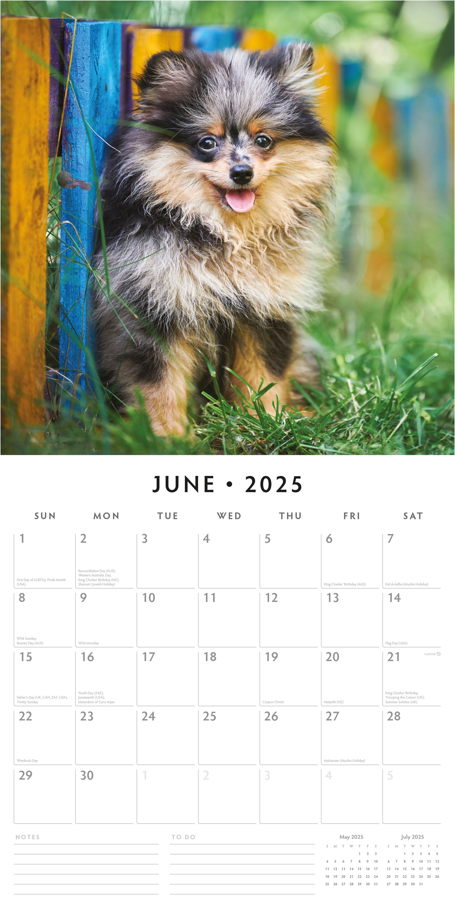 2025 Pomeranians - Square Wall Calendar